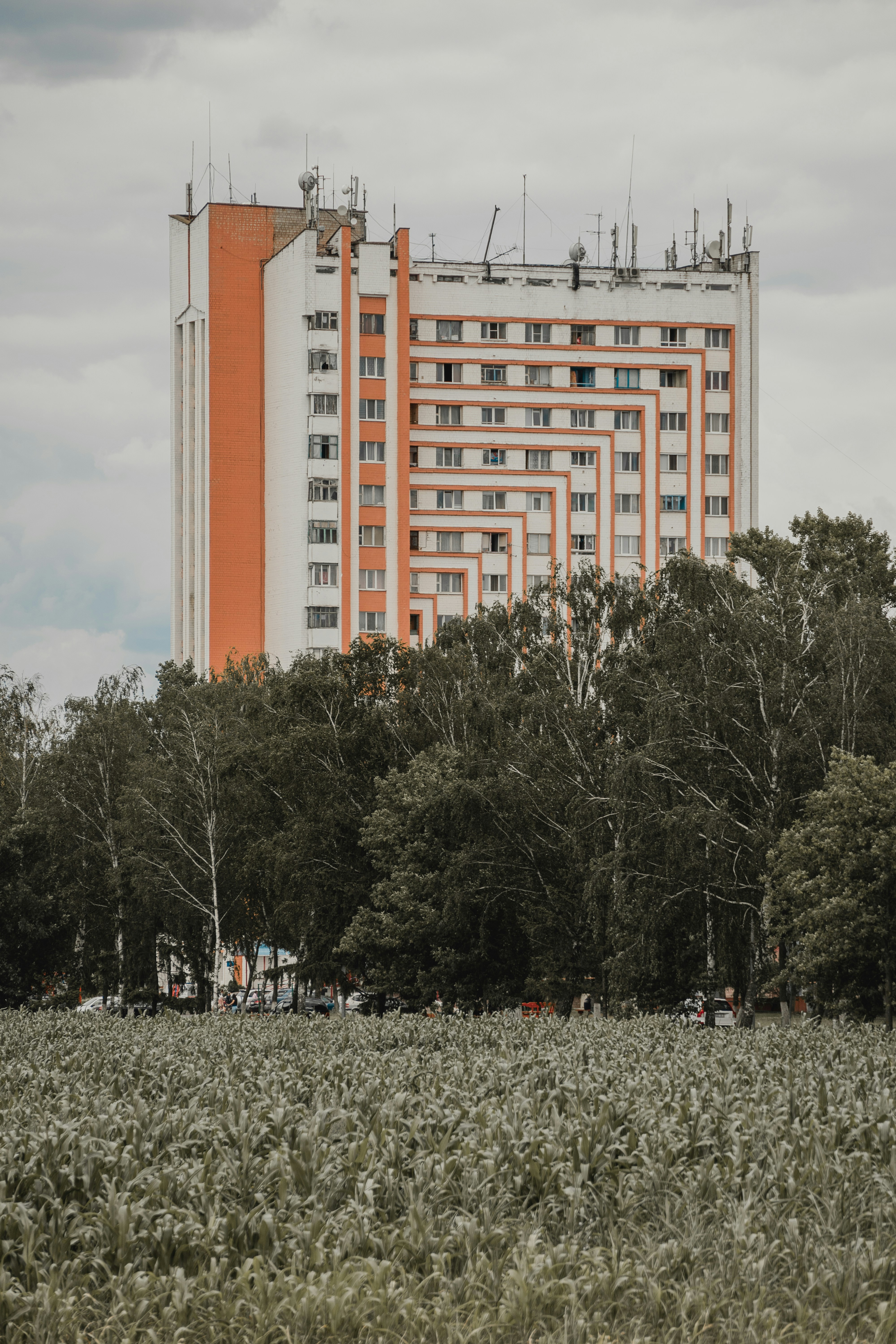 A tall building sitting in the middle of a forest