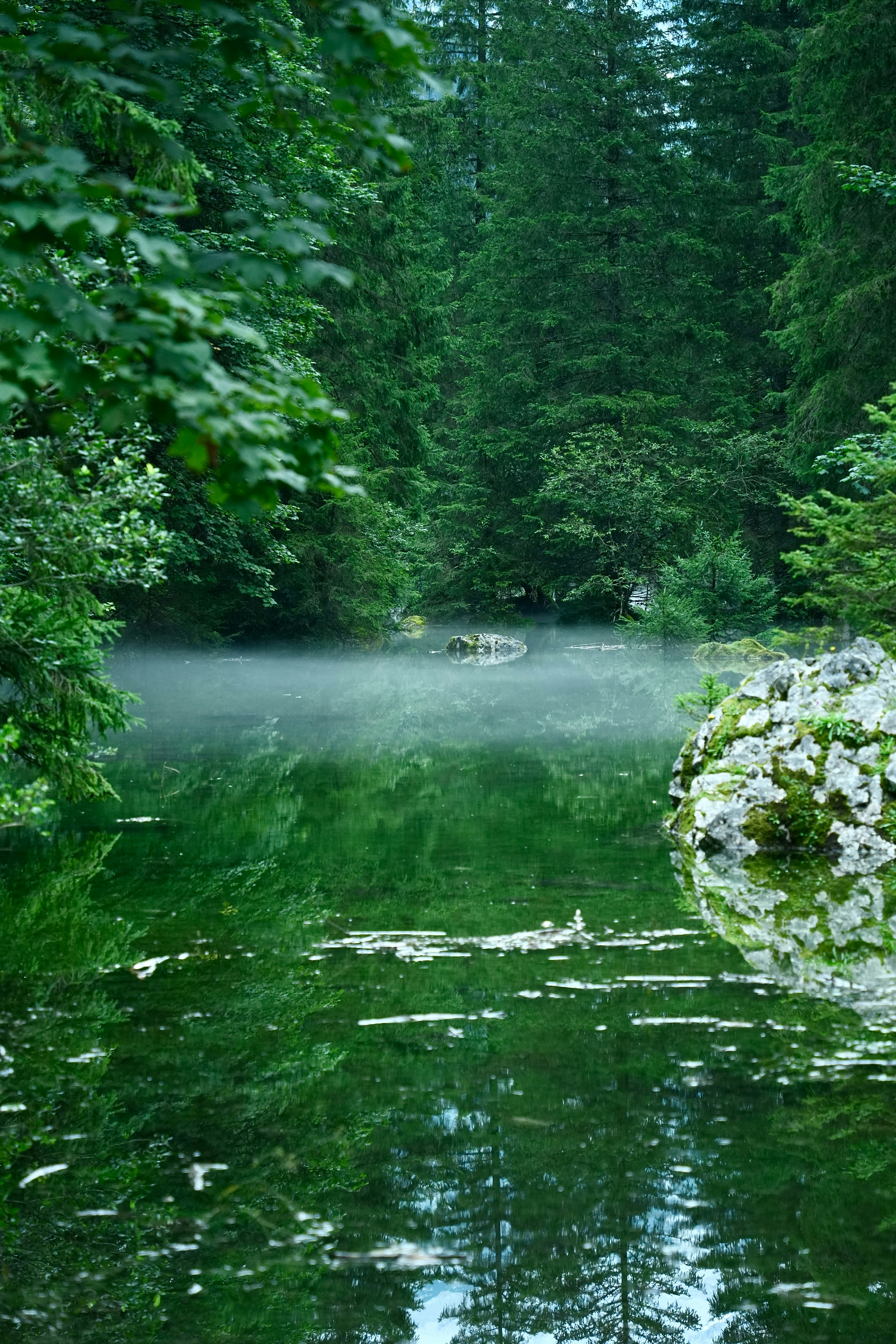 A body of water surrounded by trees and flowers