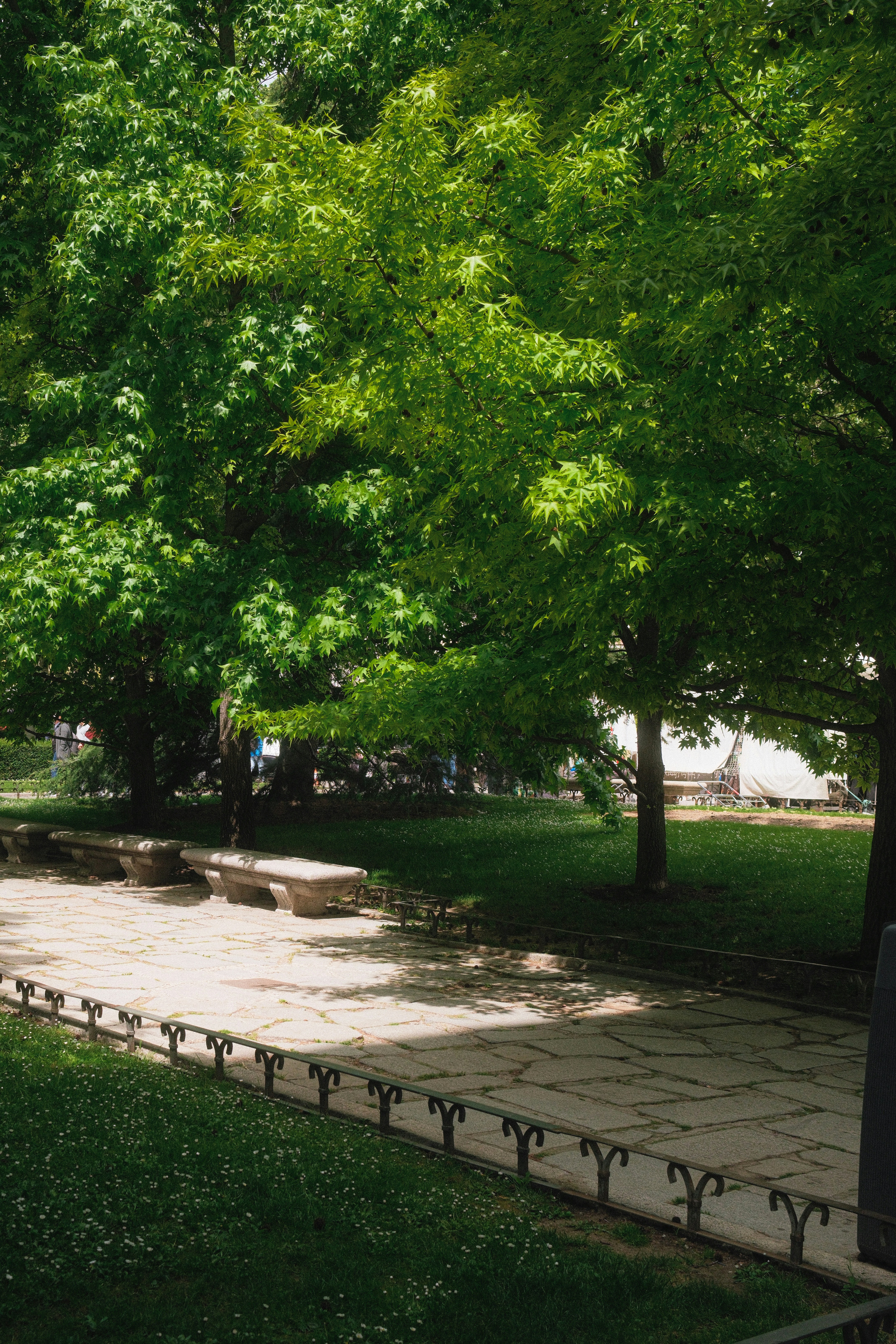 Photo by limamauro23