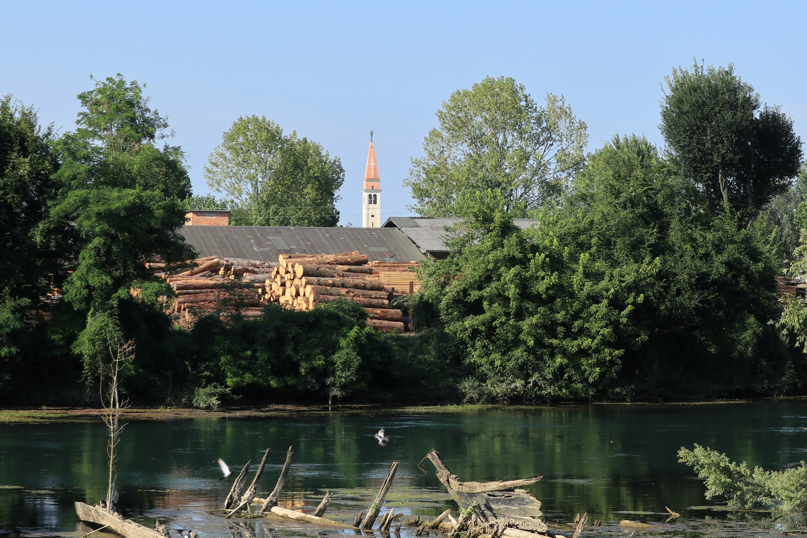 Photo by balint_miko