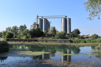 A body of water surrounded by trees and buildings