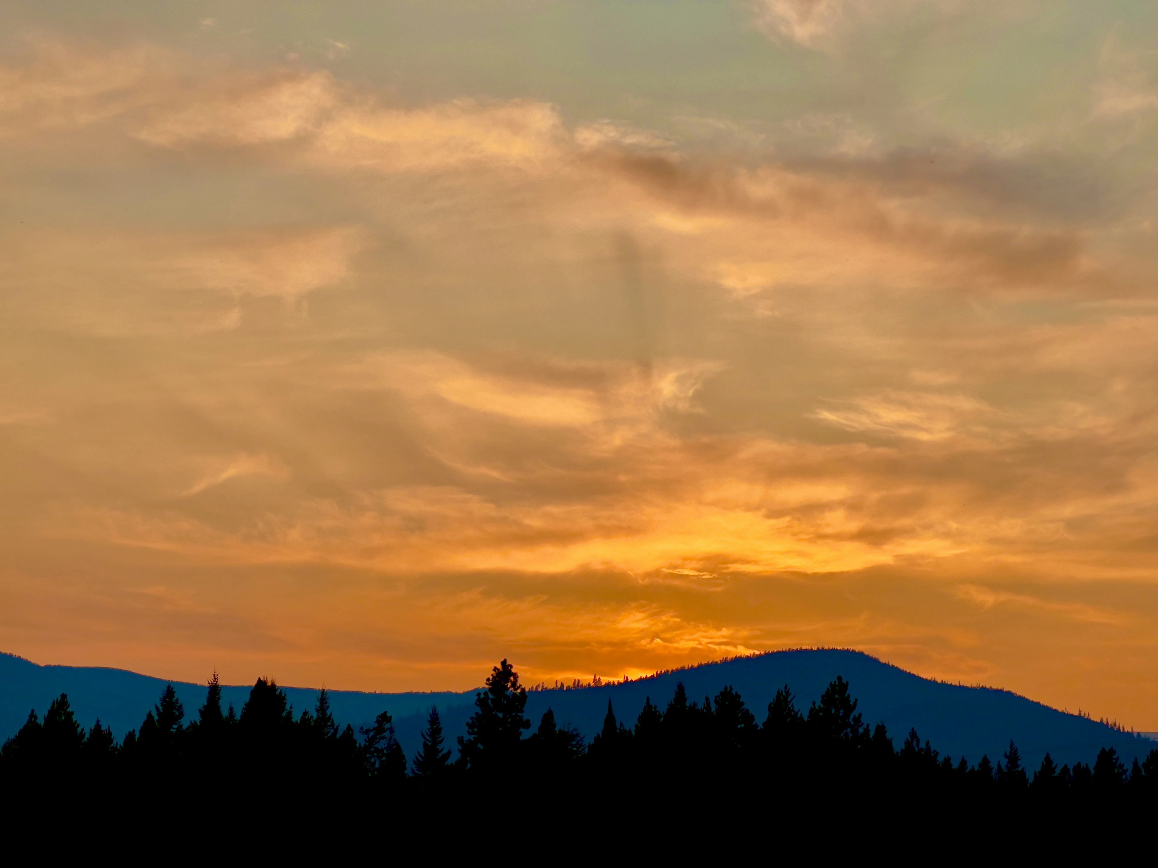 Photo by city2forest