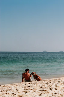 A man and a dog are sitting on the beach