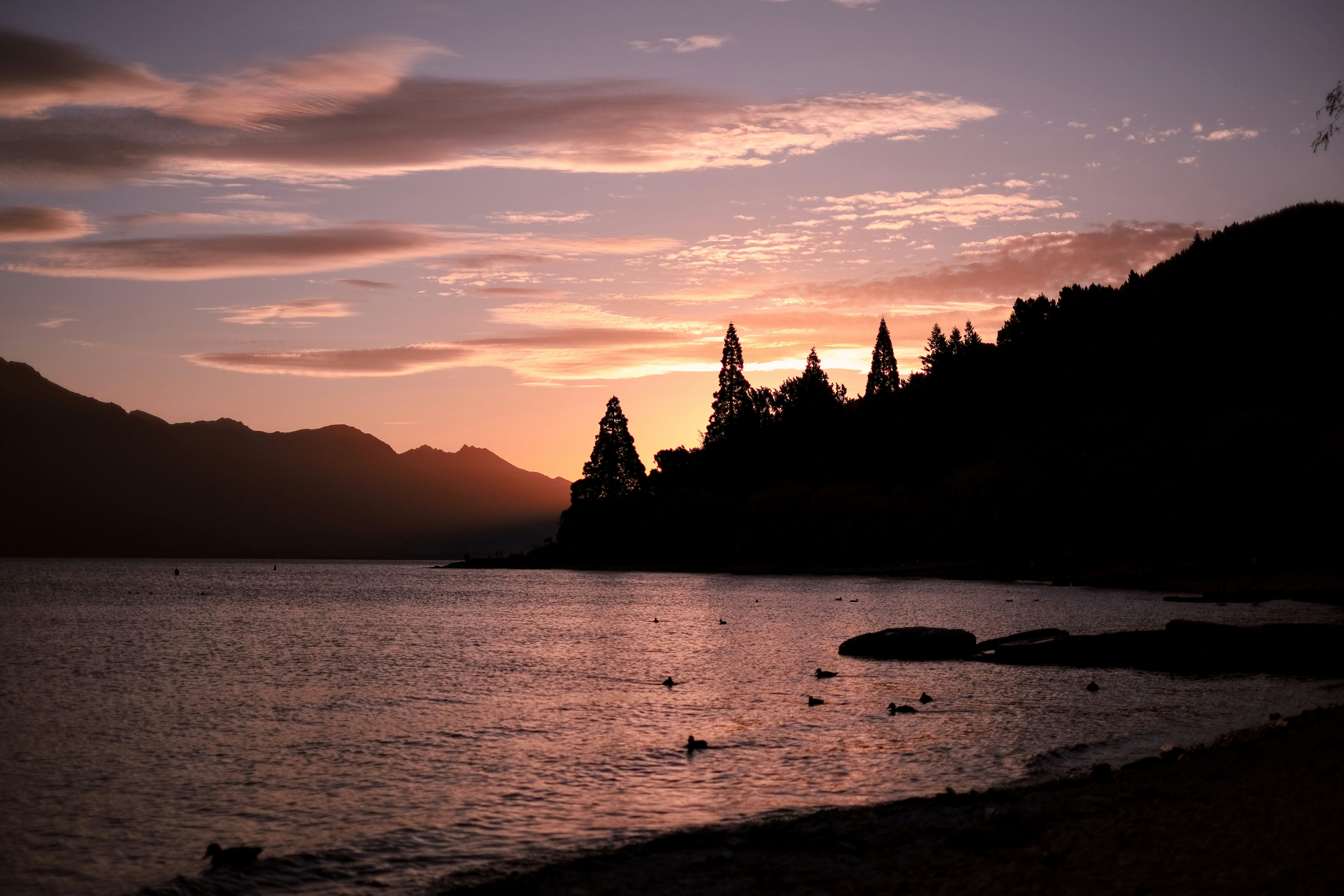 CI보험과 변액보험: 그 차이점에 대해 알아보자