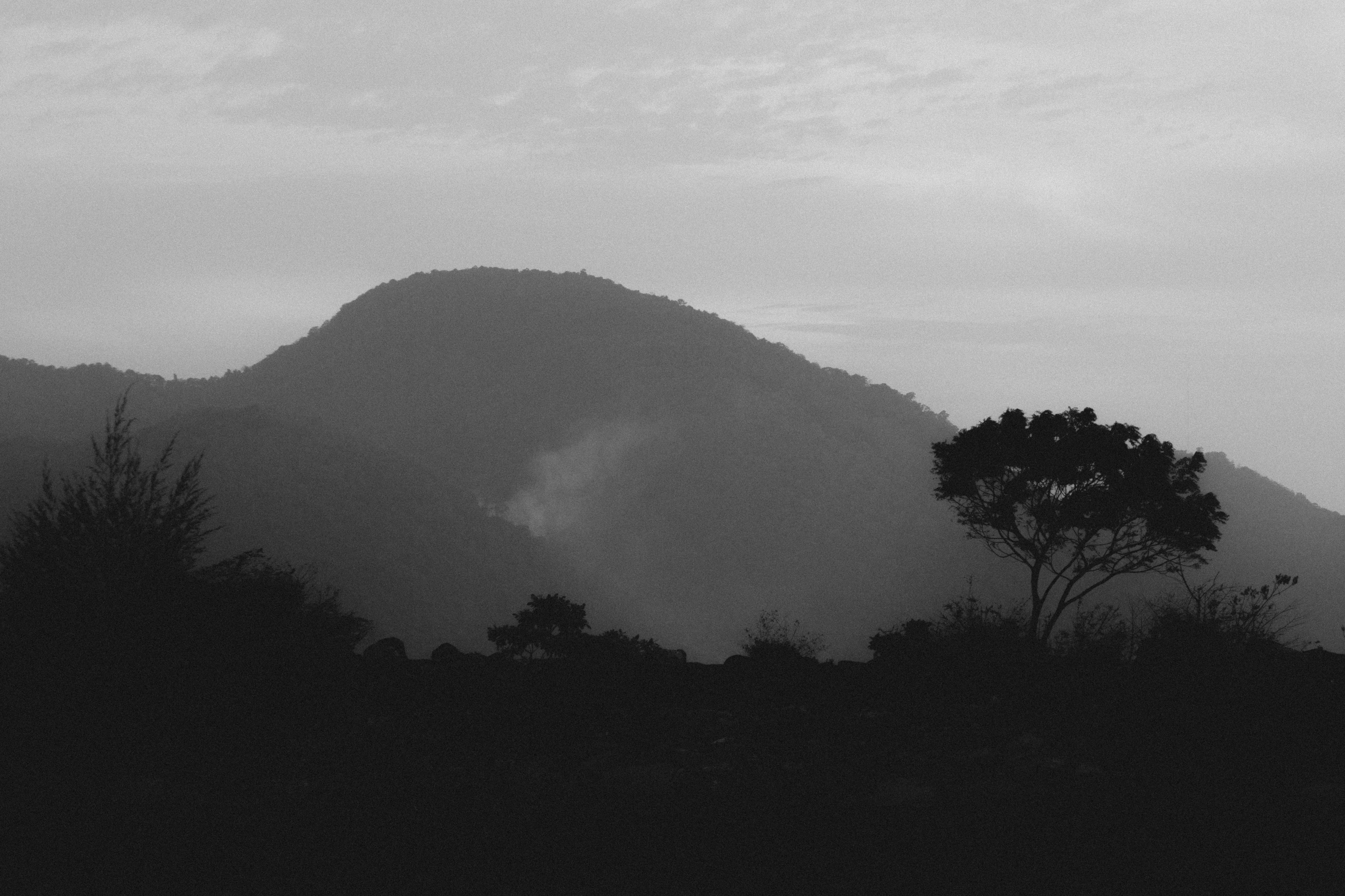 Photo by teguhyudhatama