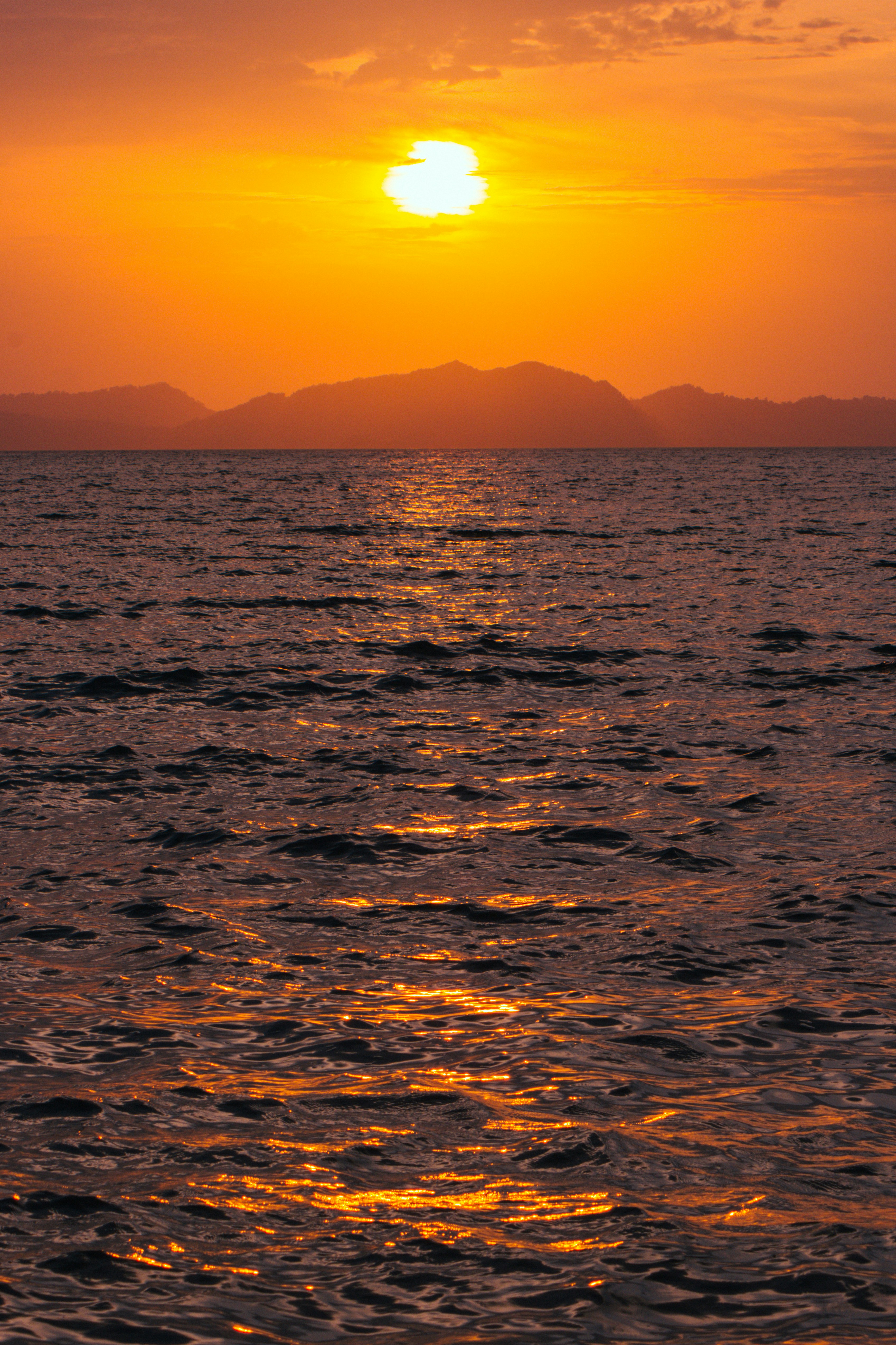 Photo by teguhyudhatama