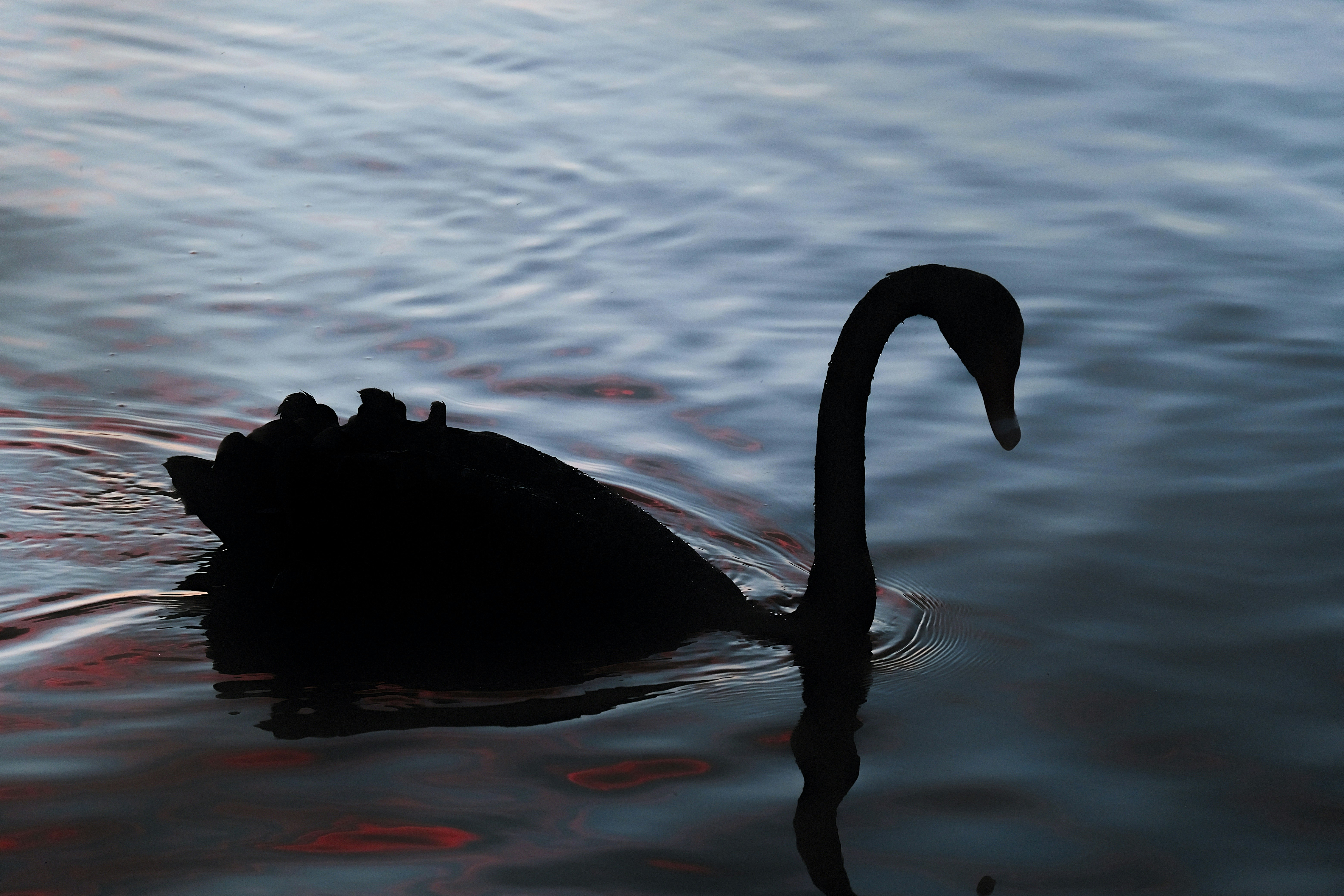 Photo by sharp_shutter