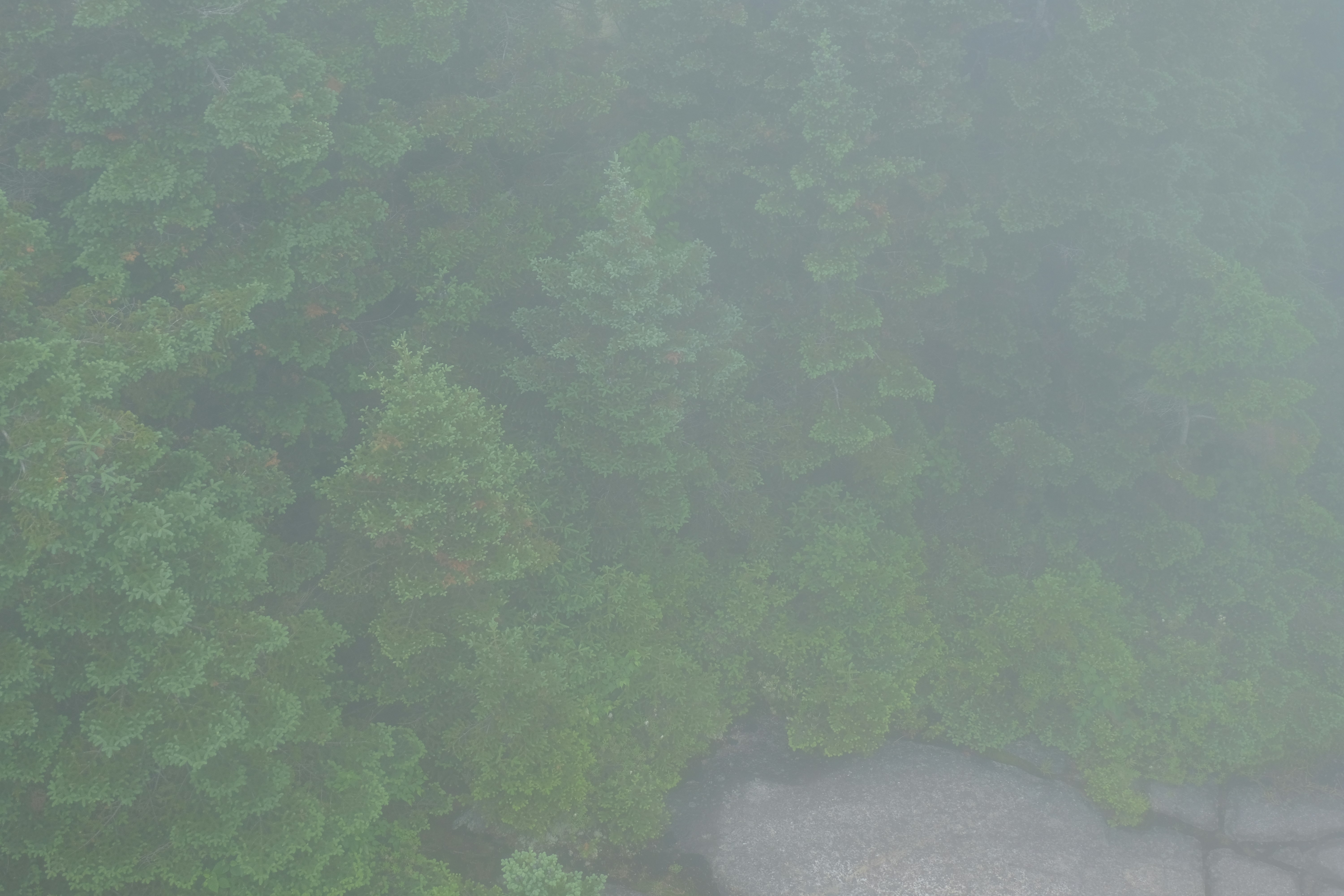 Photo by augustomp55