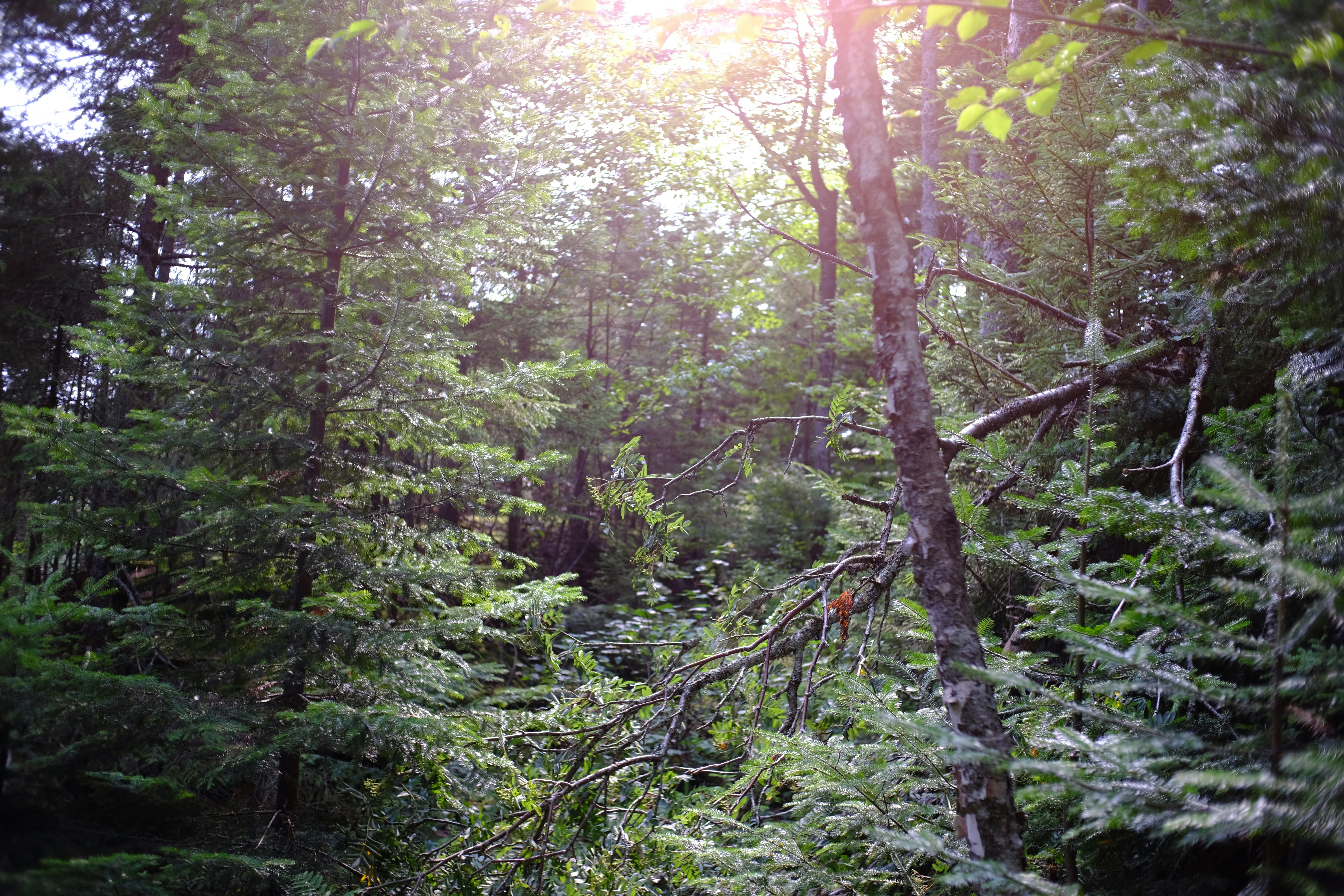 Photo by augustomp55