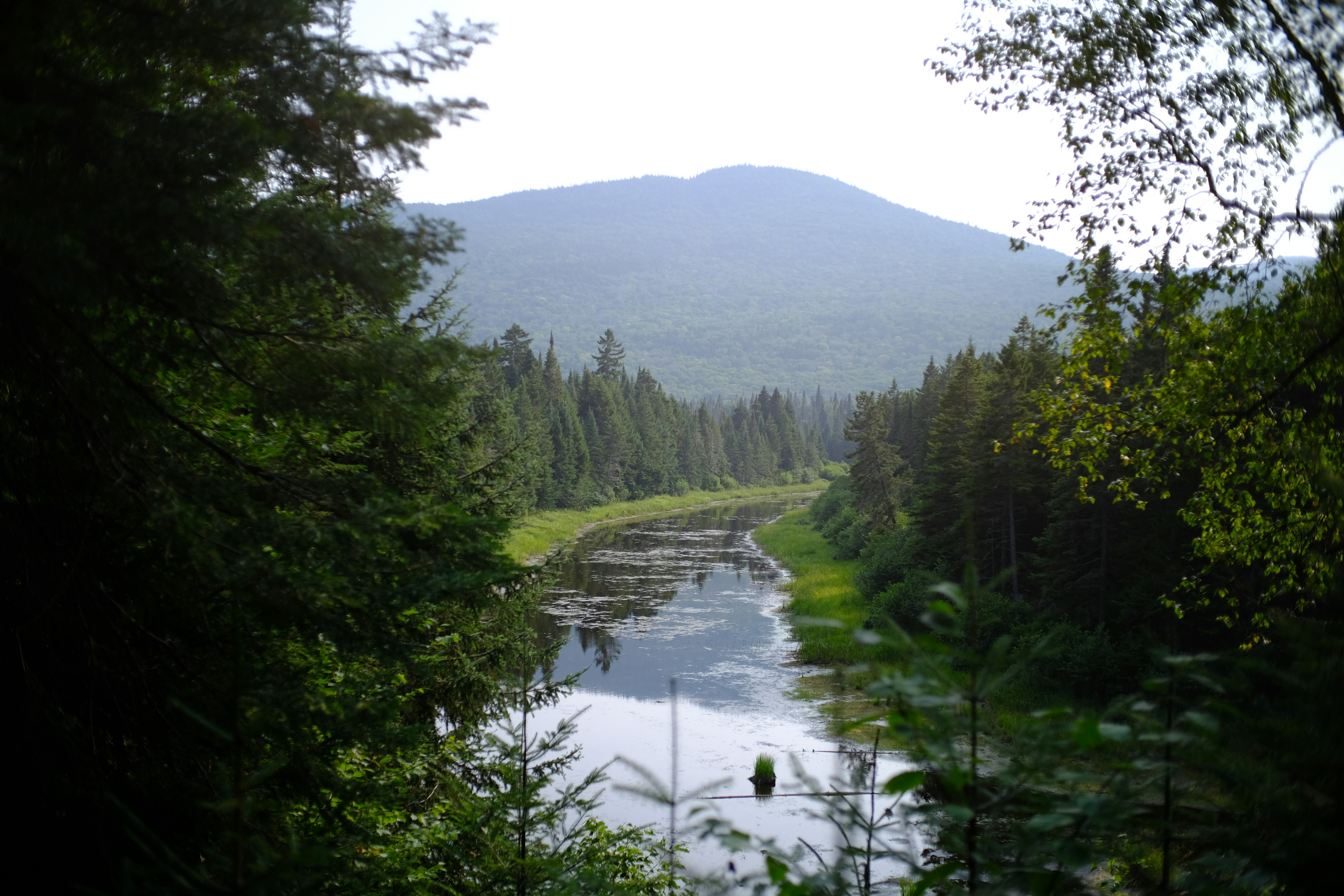 Photo by augustomp55