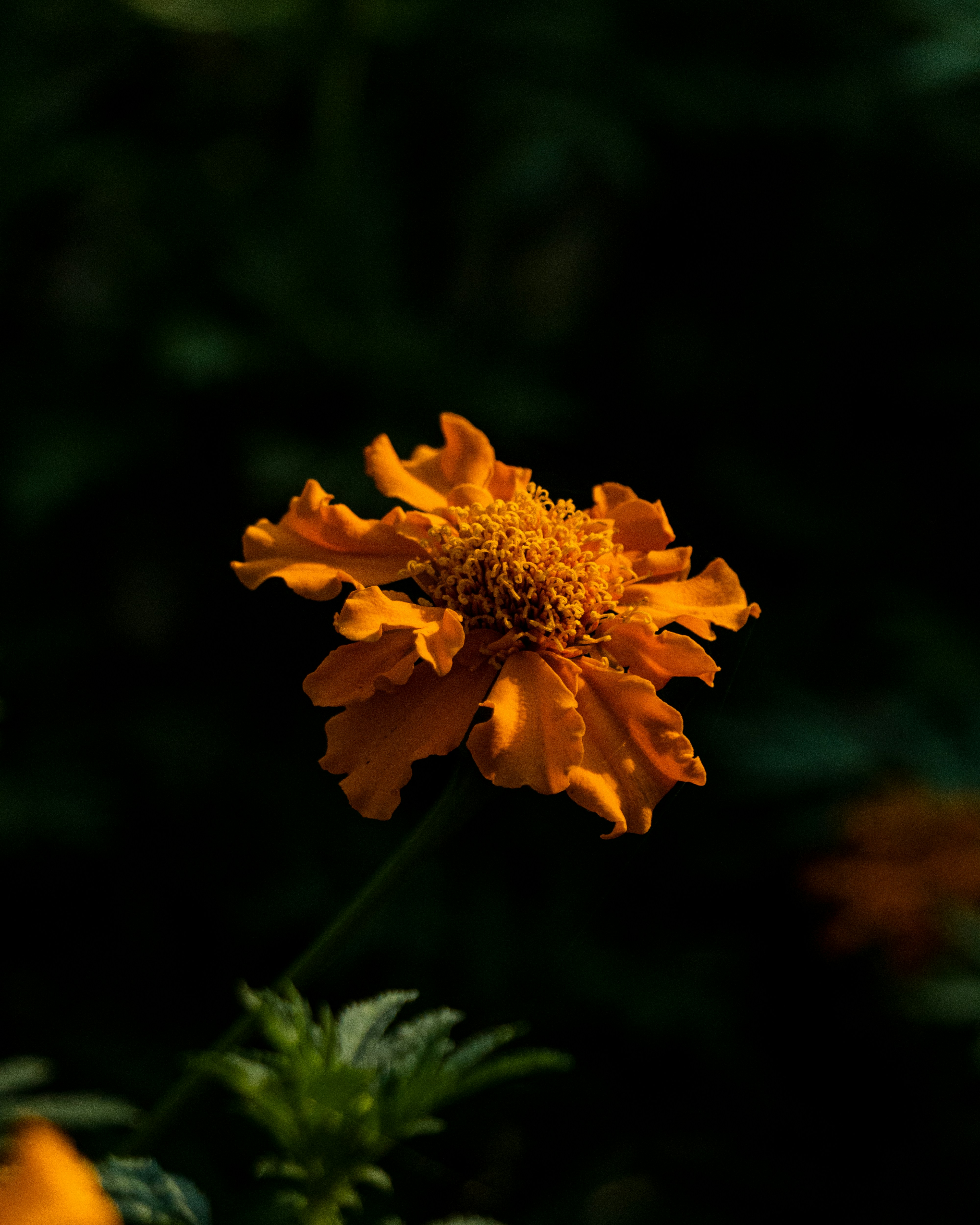 Photo by pranav1124