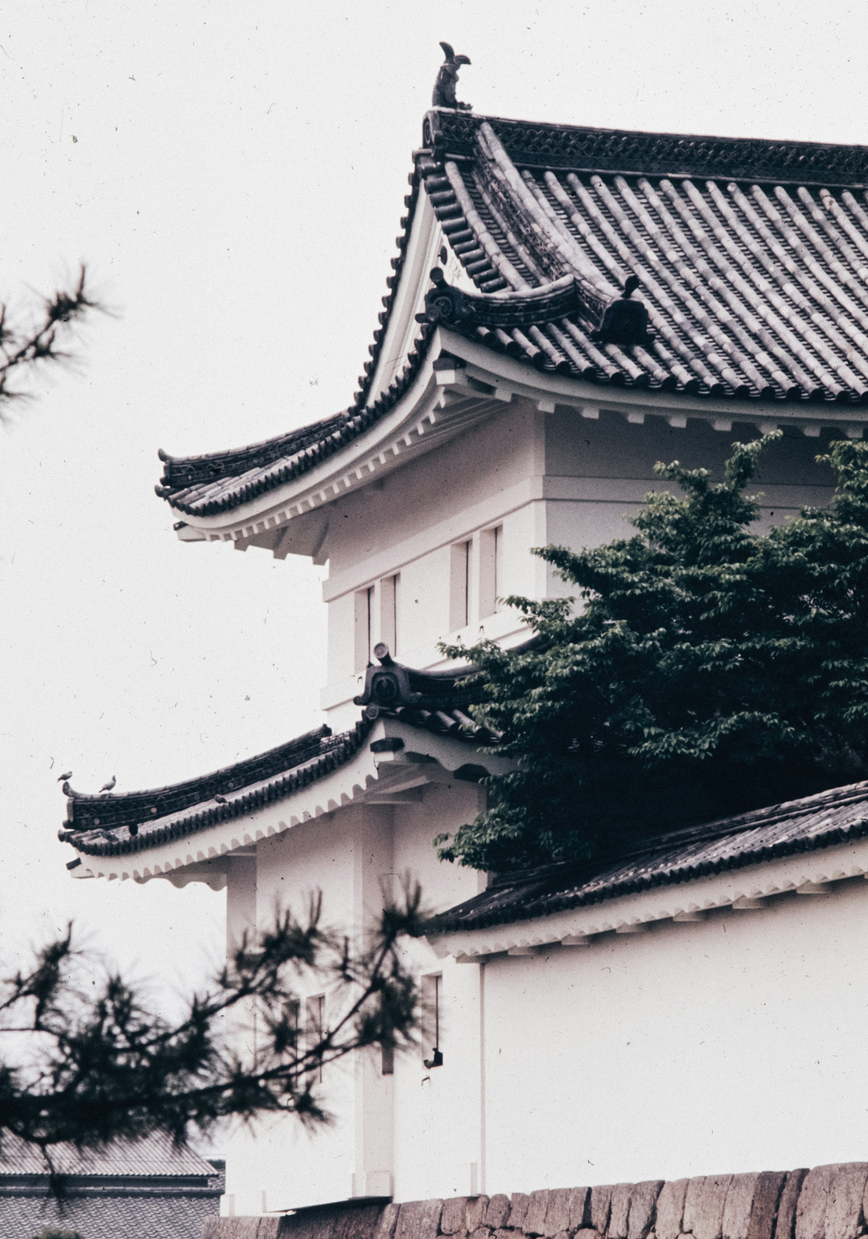 Photo by anniespratt