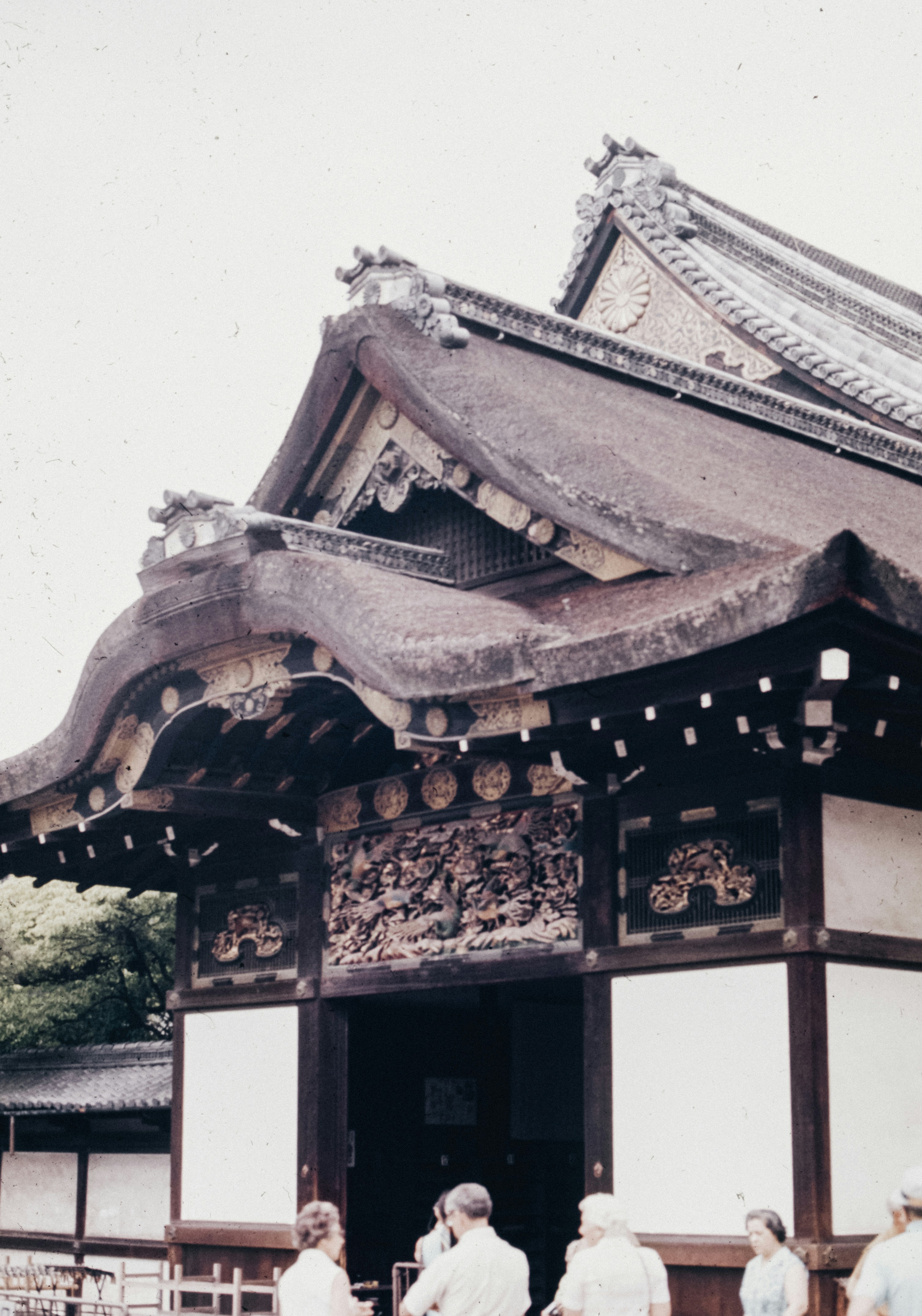 Photo by anniespratt