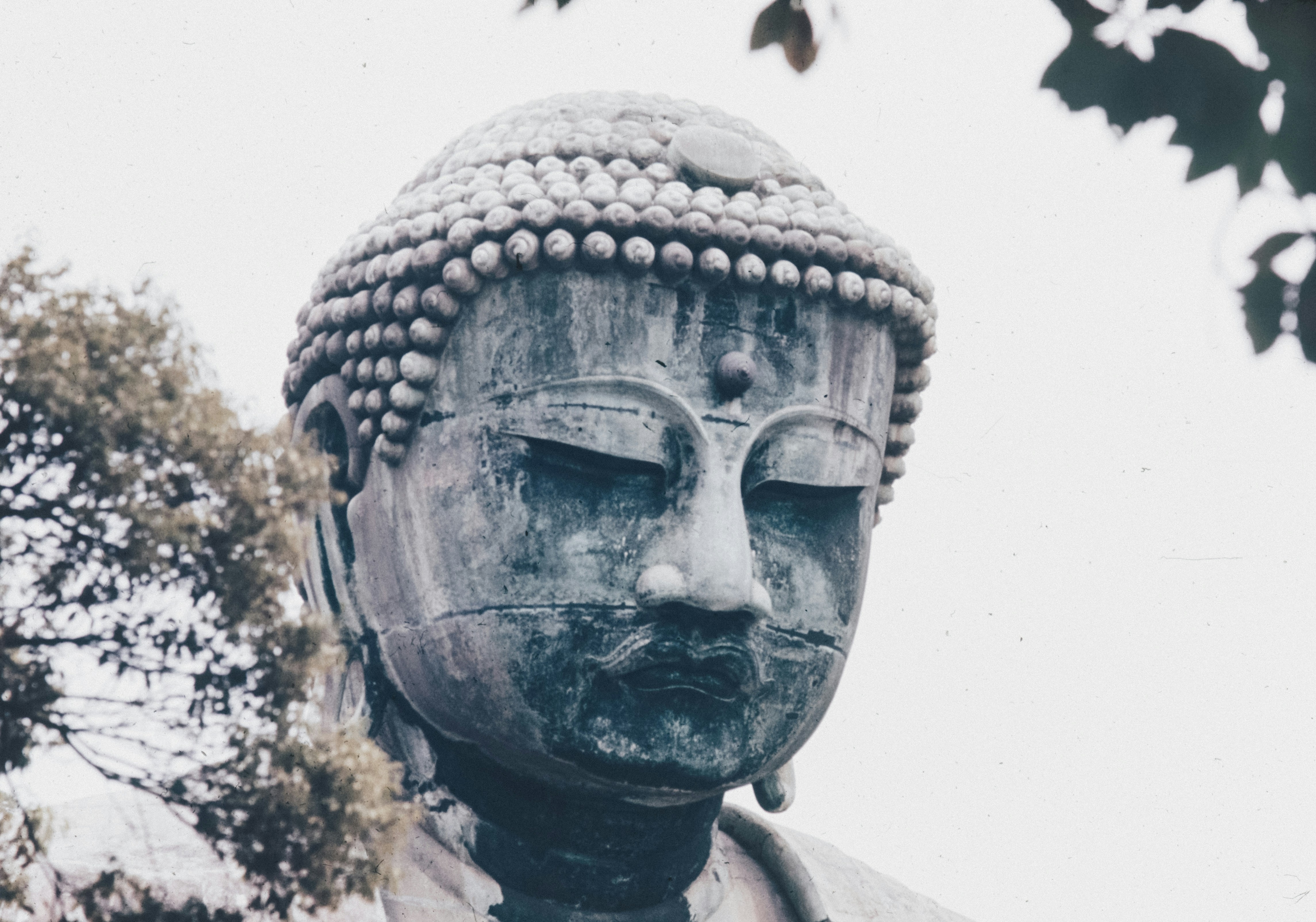 Photo by anniespratt