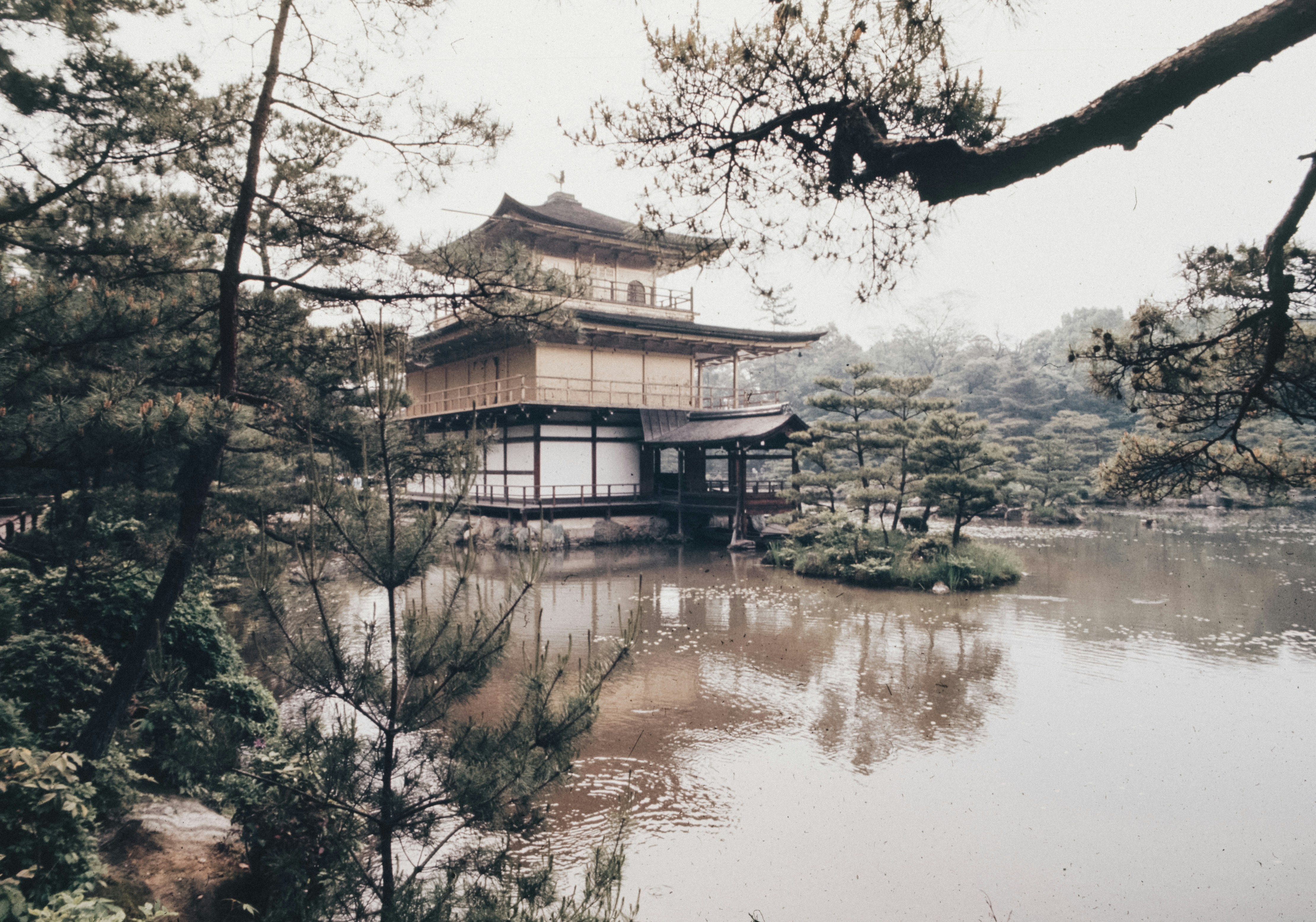 A building sitting on top of a lake surrounded by trees
