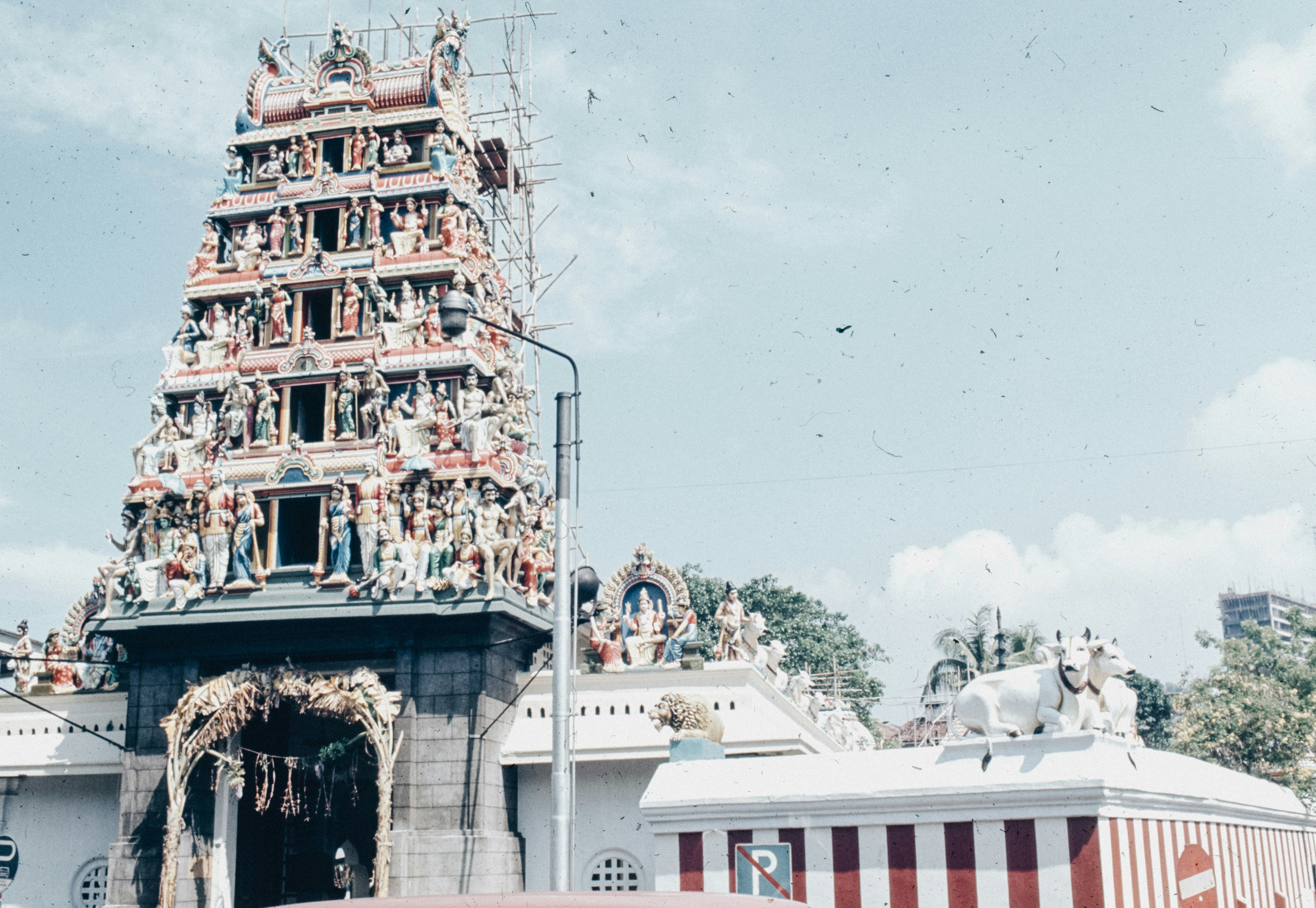 Photo by anniespratt