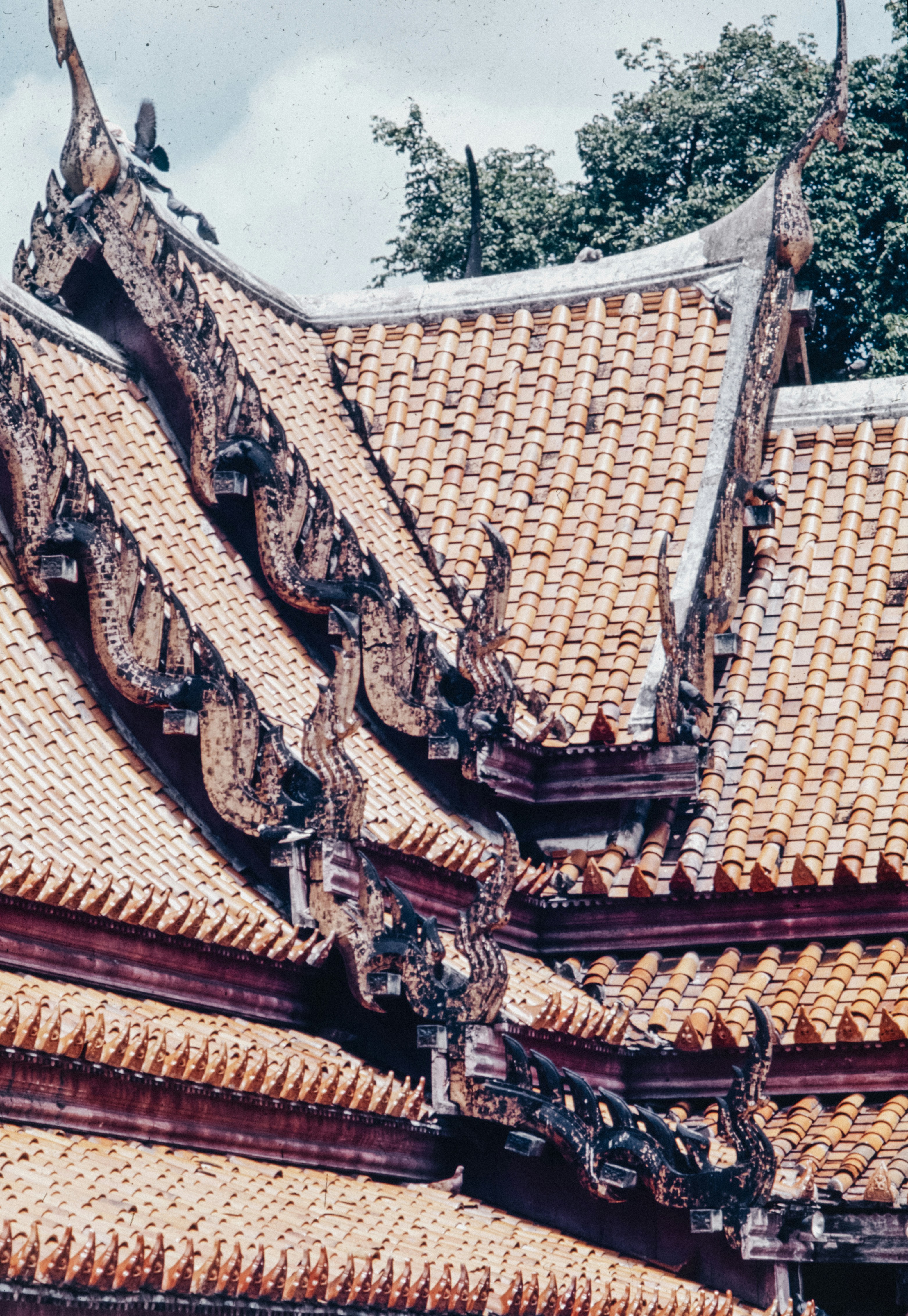 Photo by anniespratt