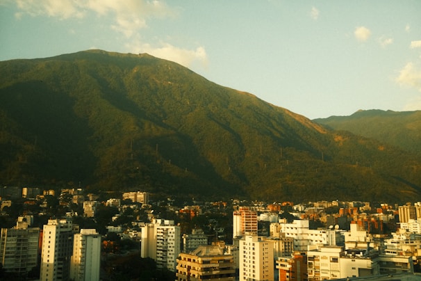 A view of a city with mountains in the background