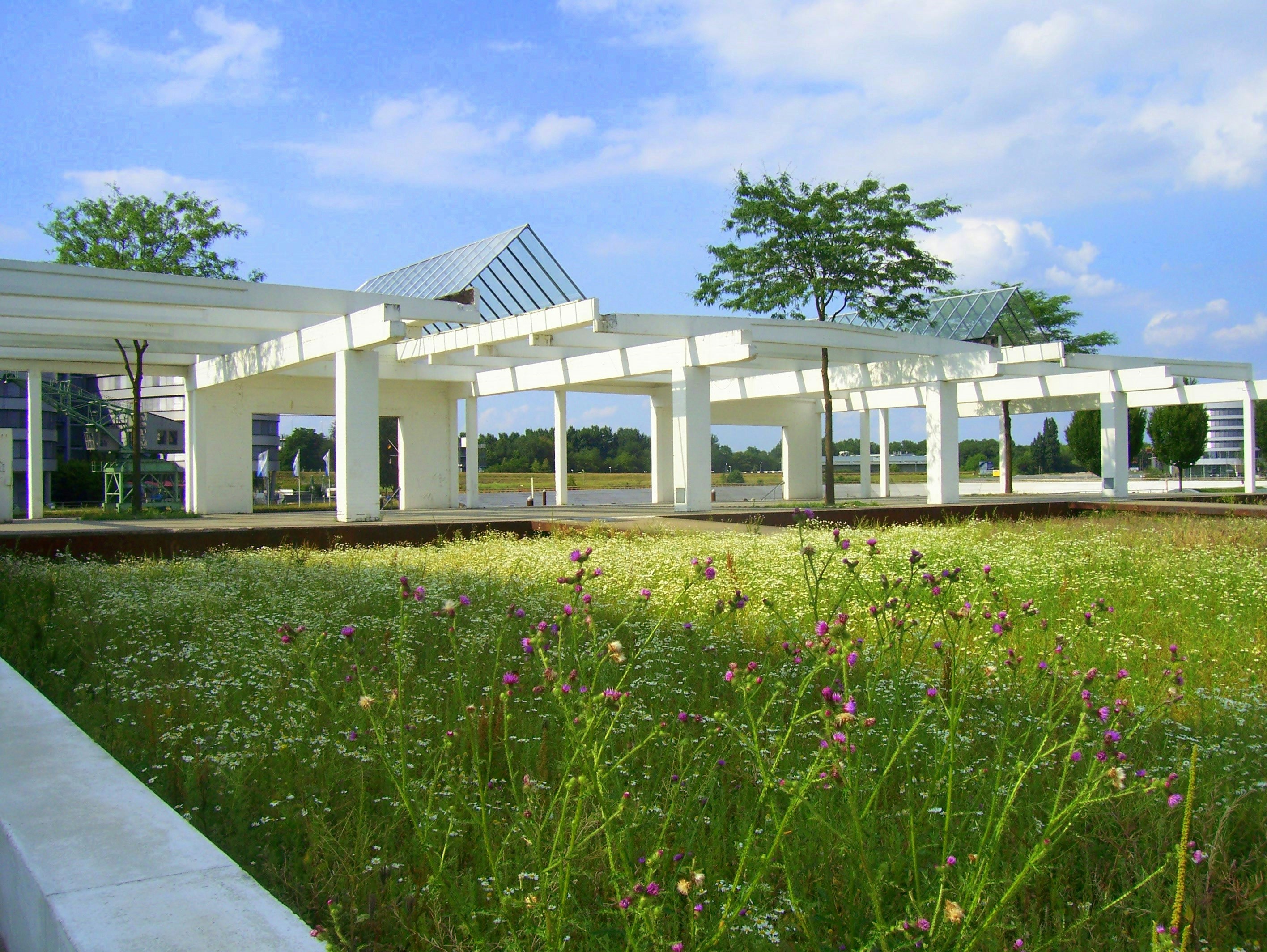 A grassy field with a building in the background