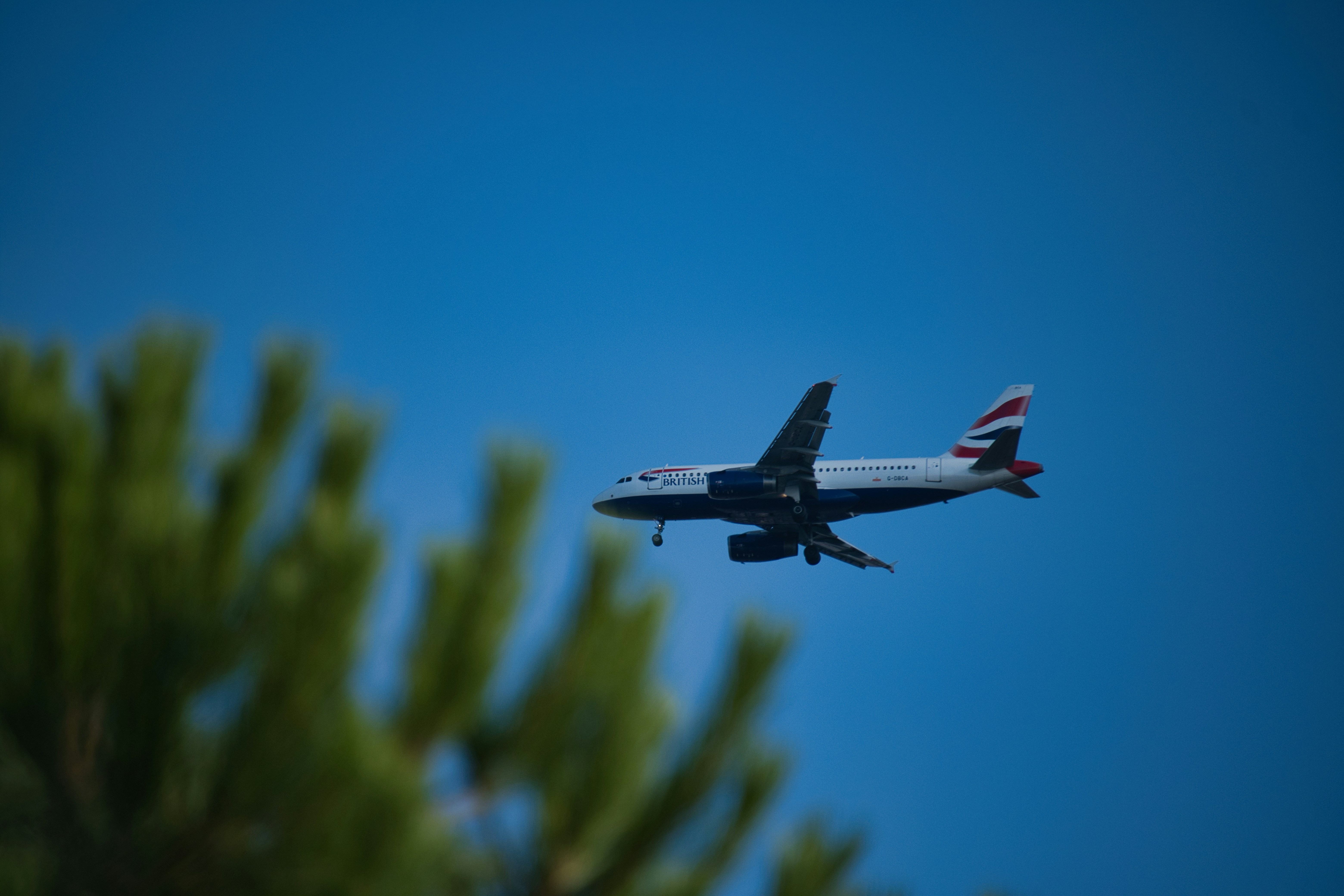 青空を飛ぶ大型ジェット旅客機