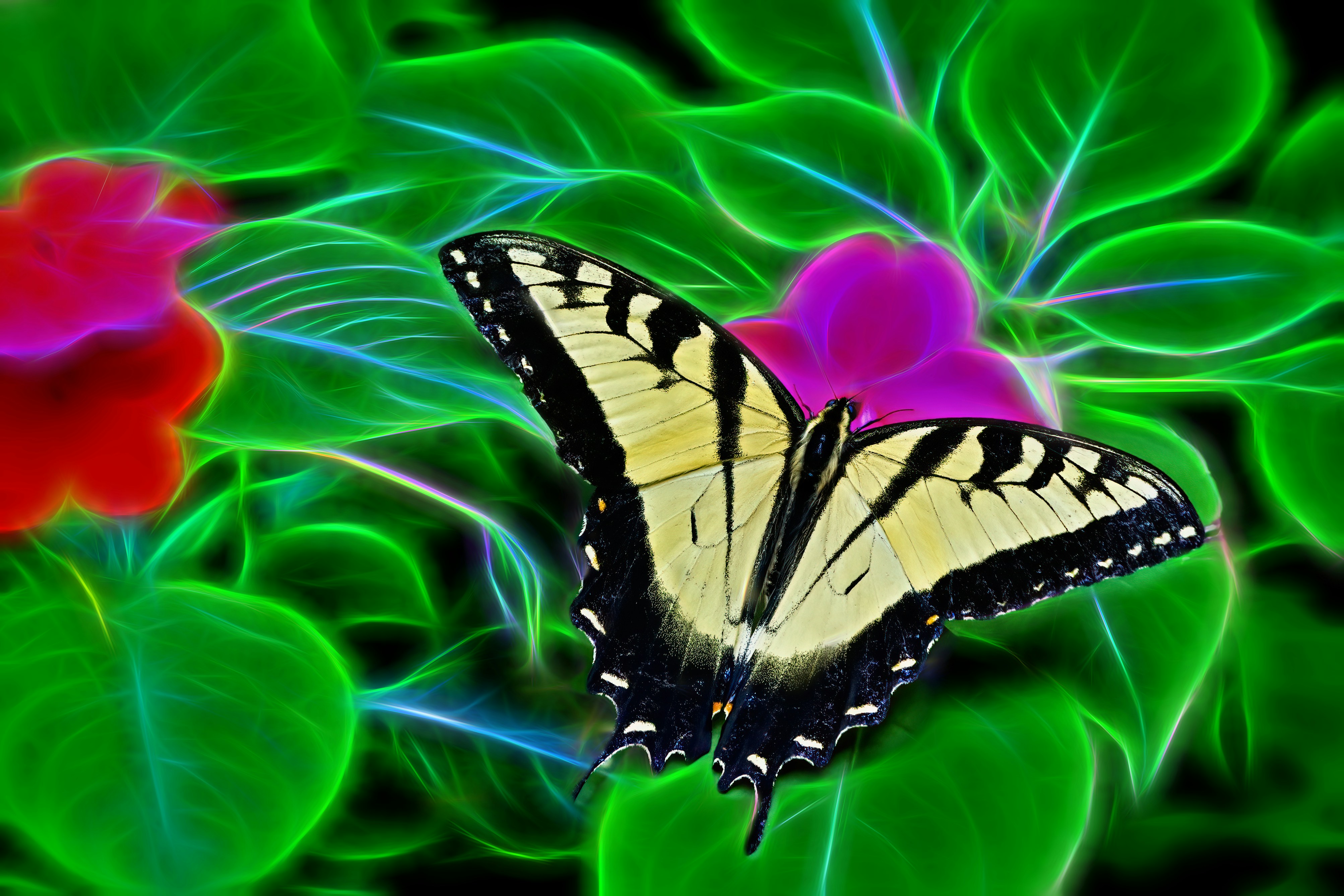 10 Self-Transformation Teachings for Inner Transformation