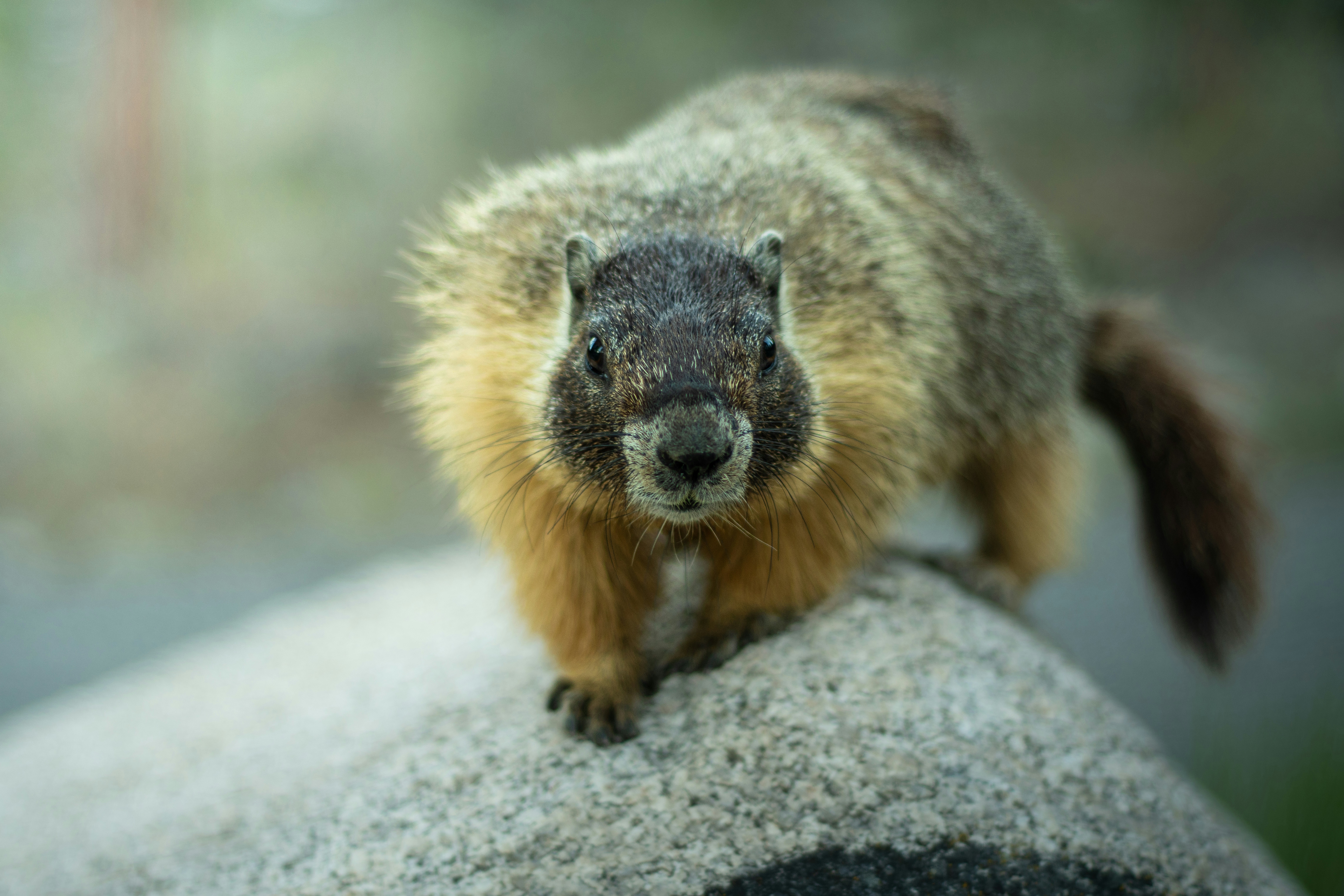 Photo by mdphotographyca