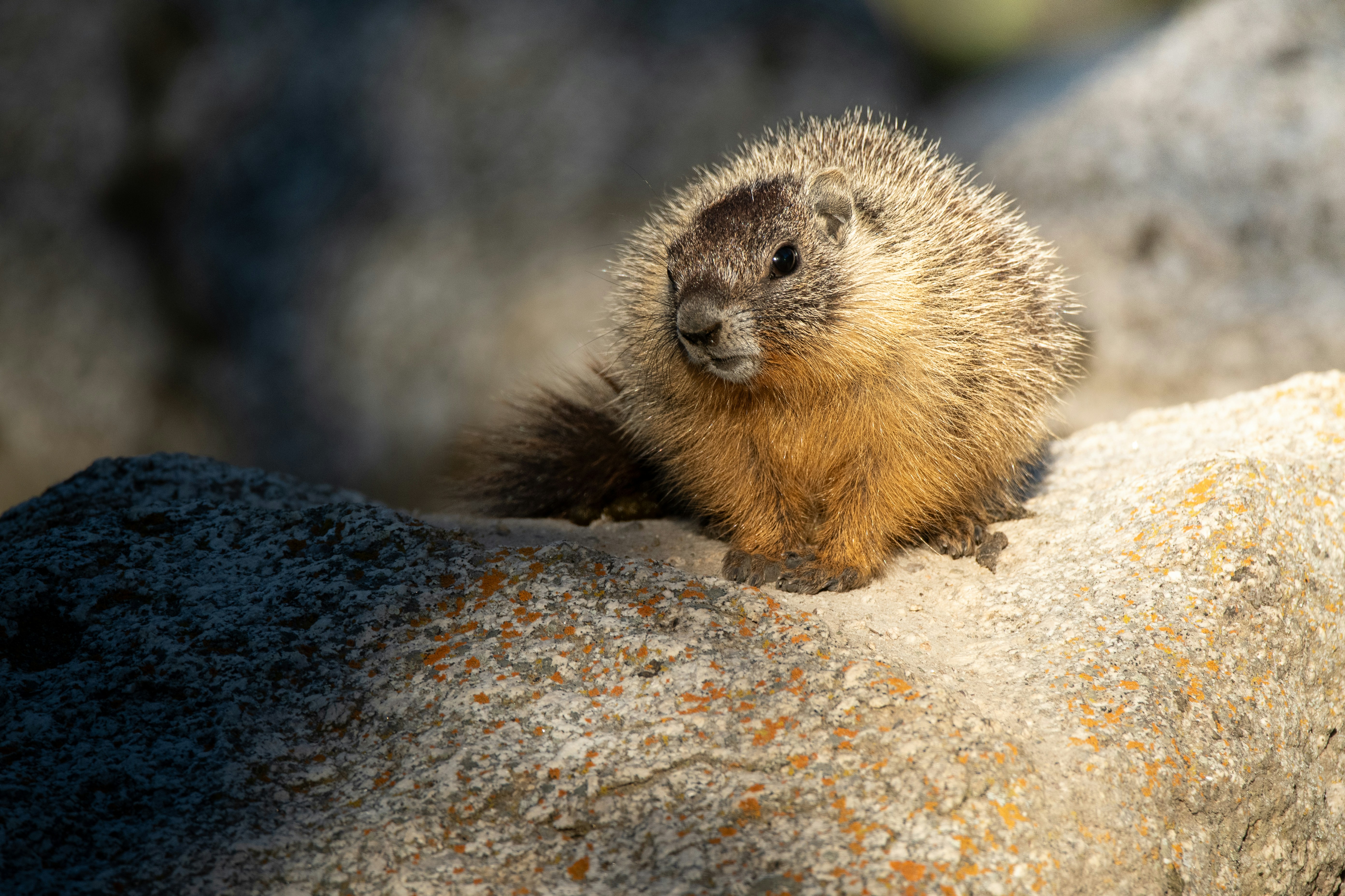 Photo by mdphotographyca