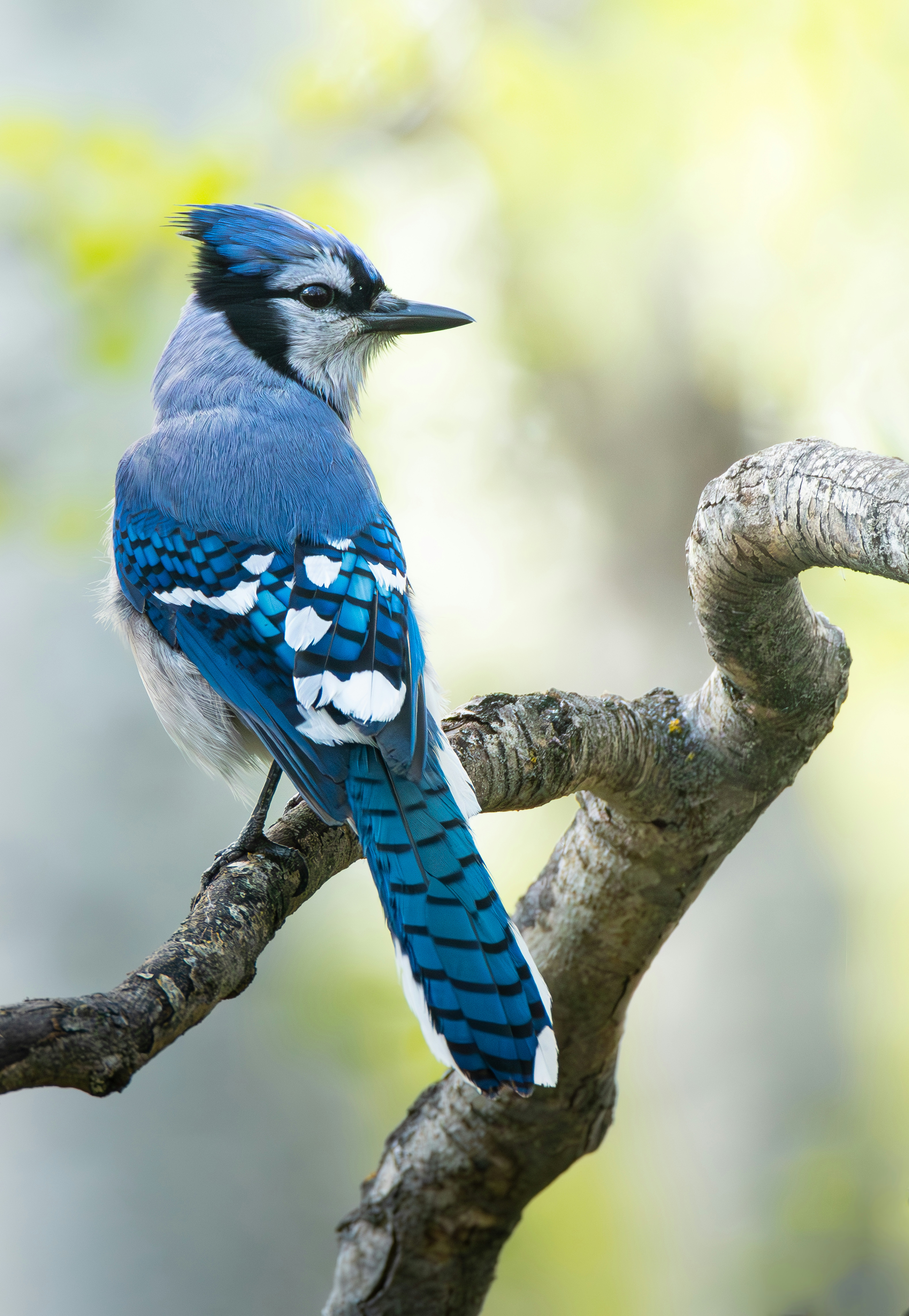 Photo by mdphotographyca