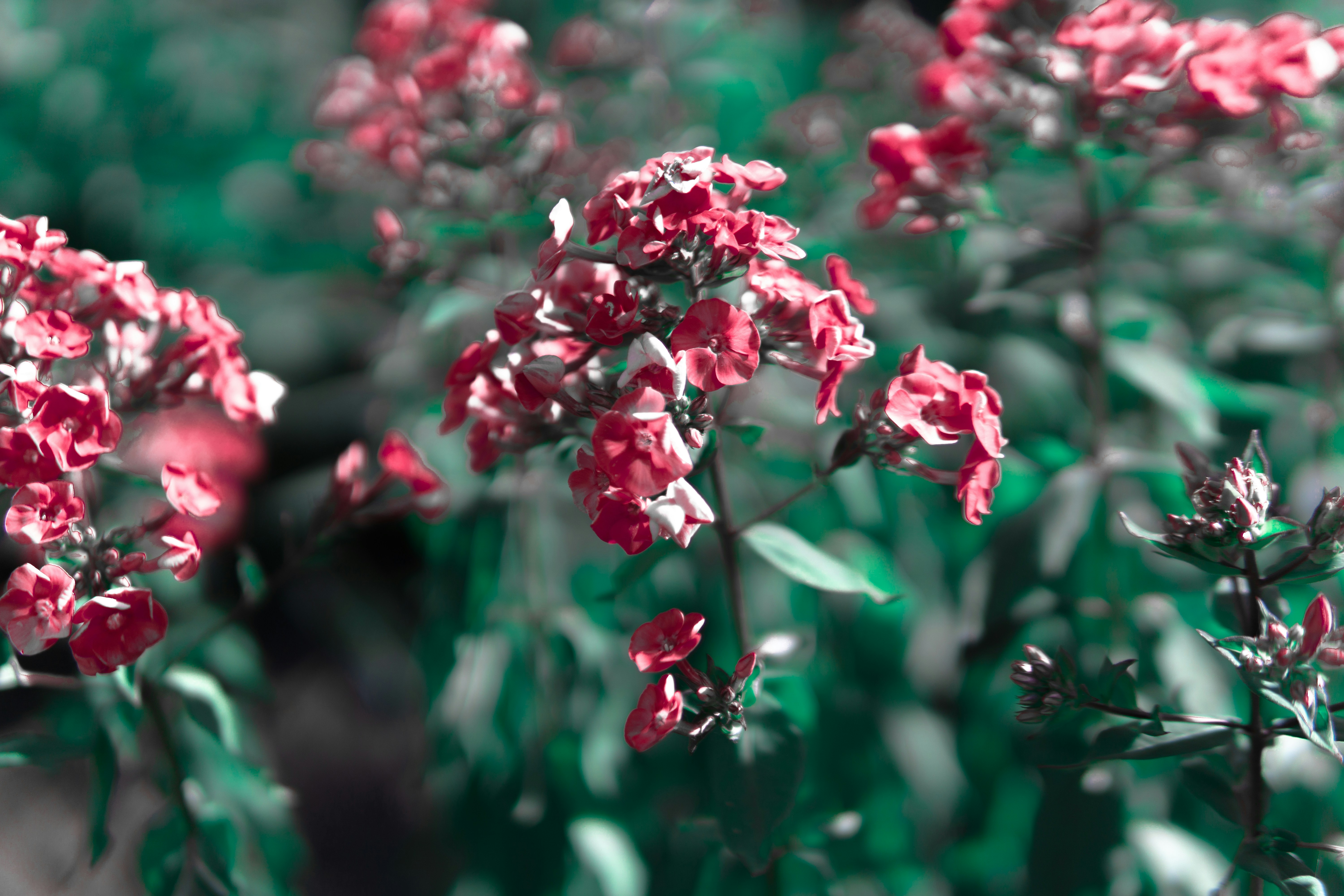 Photo by jzraw