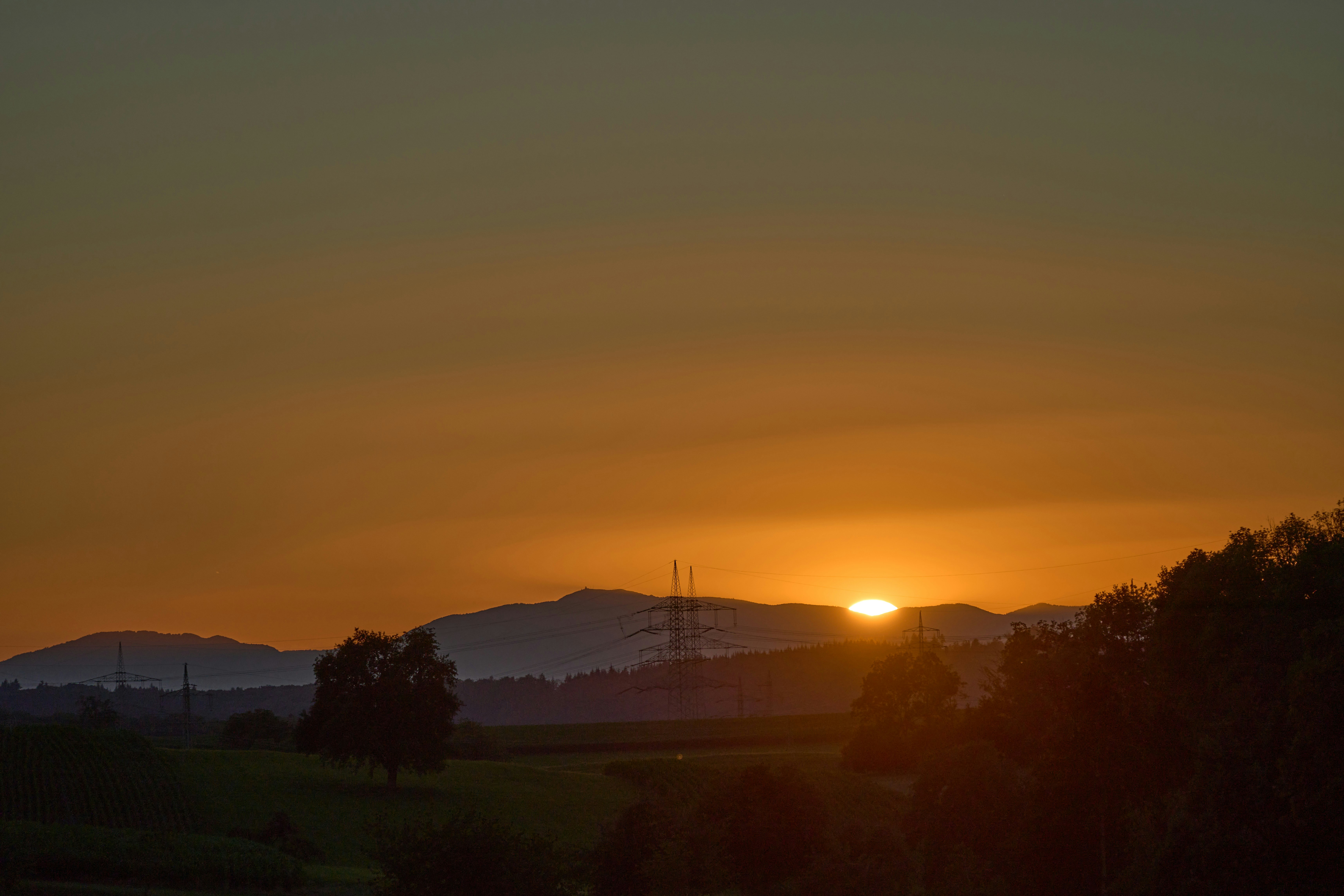 Photo by wolfgang_hasselmann