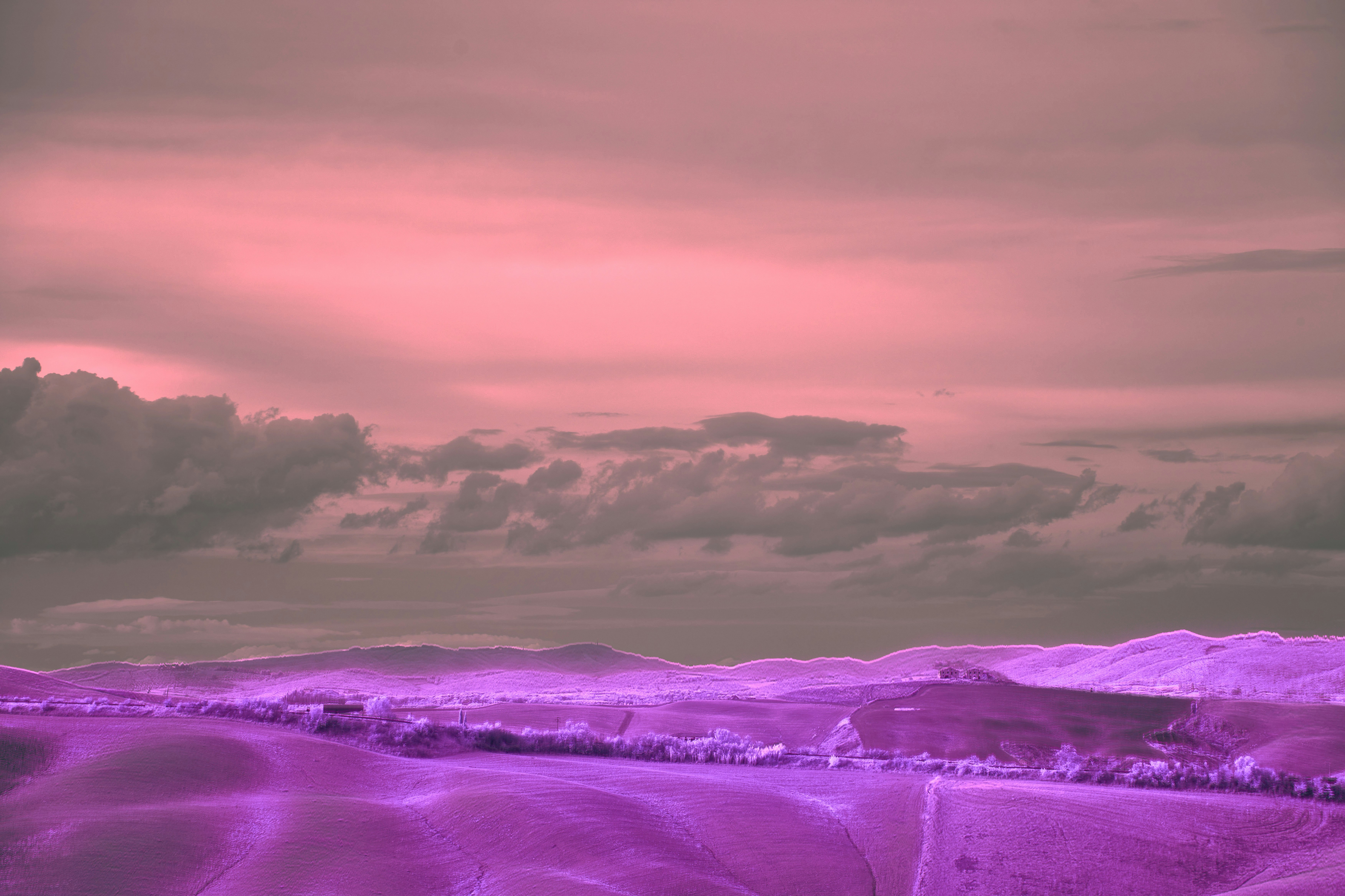 Photo by wolfgang_hasselmann