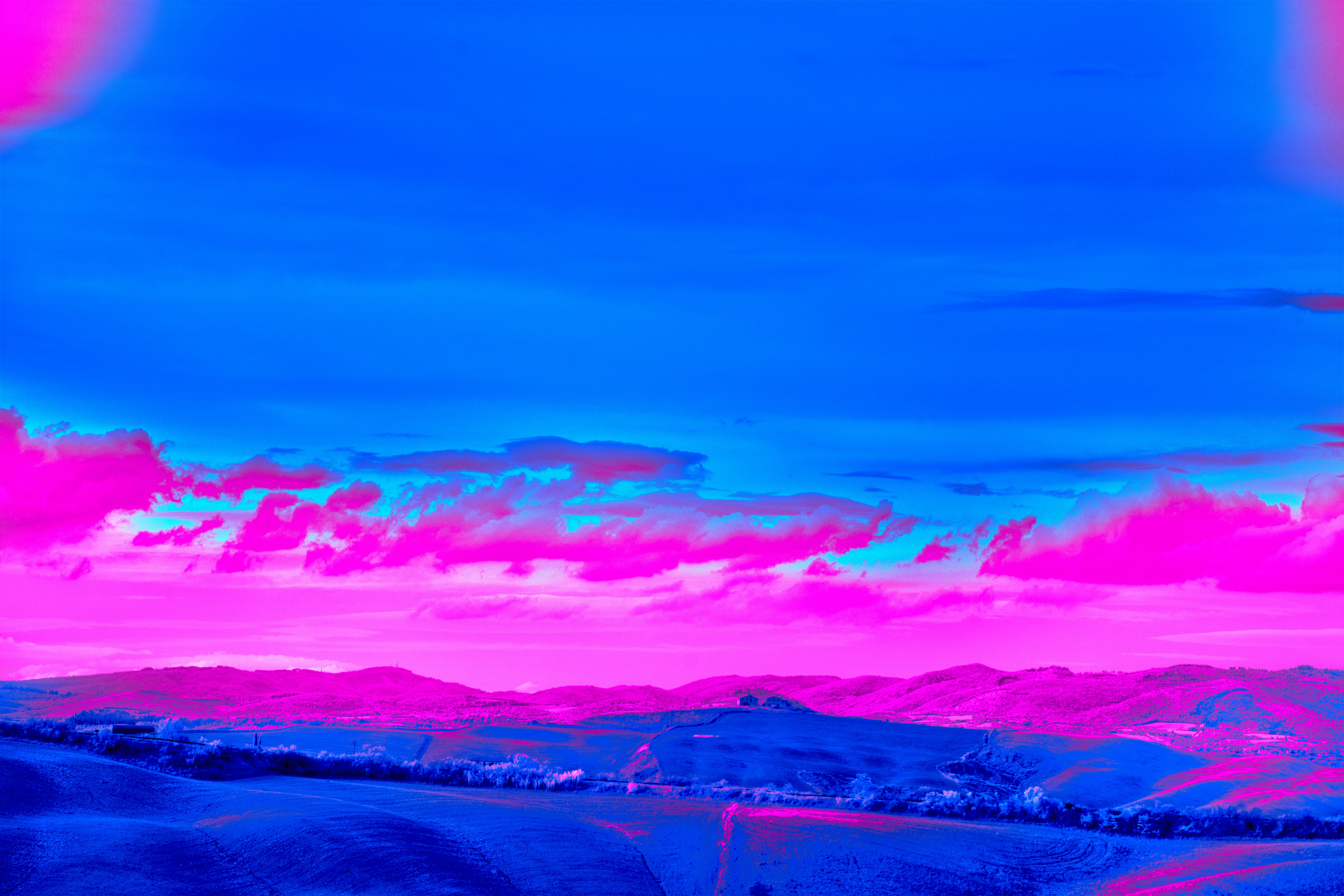 Photo by wolfgang_hasselmann