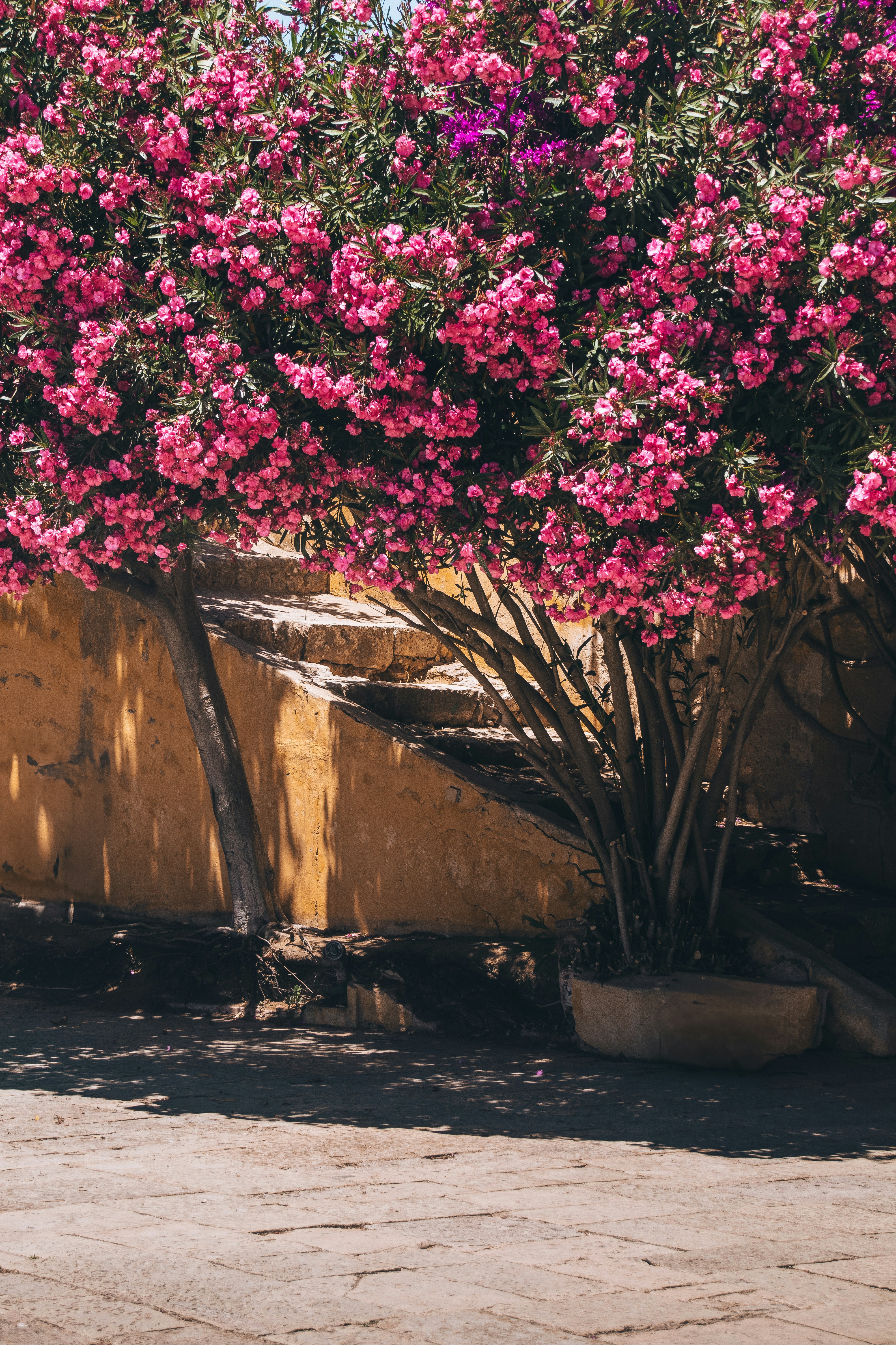 Photo by patrycja_chociej