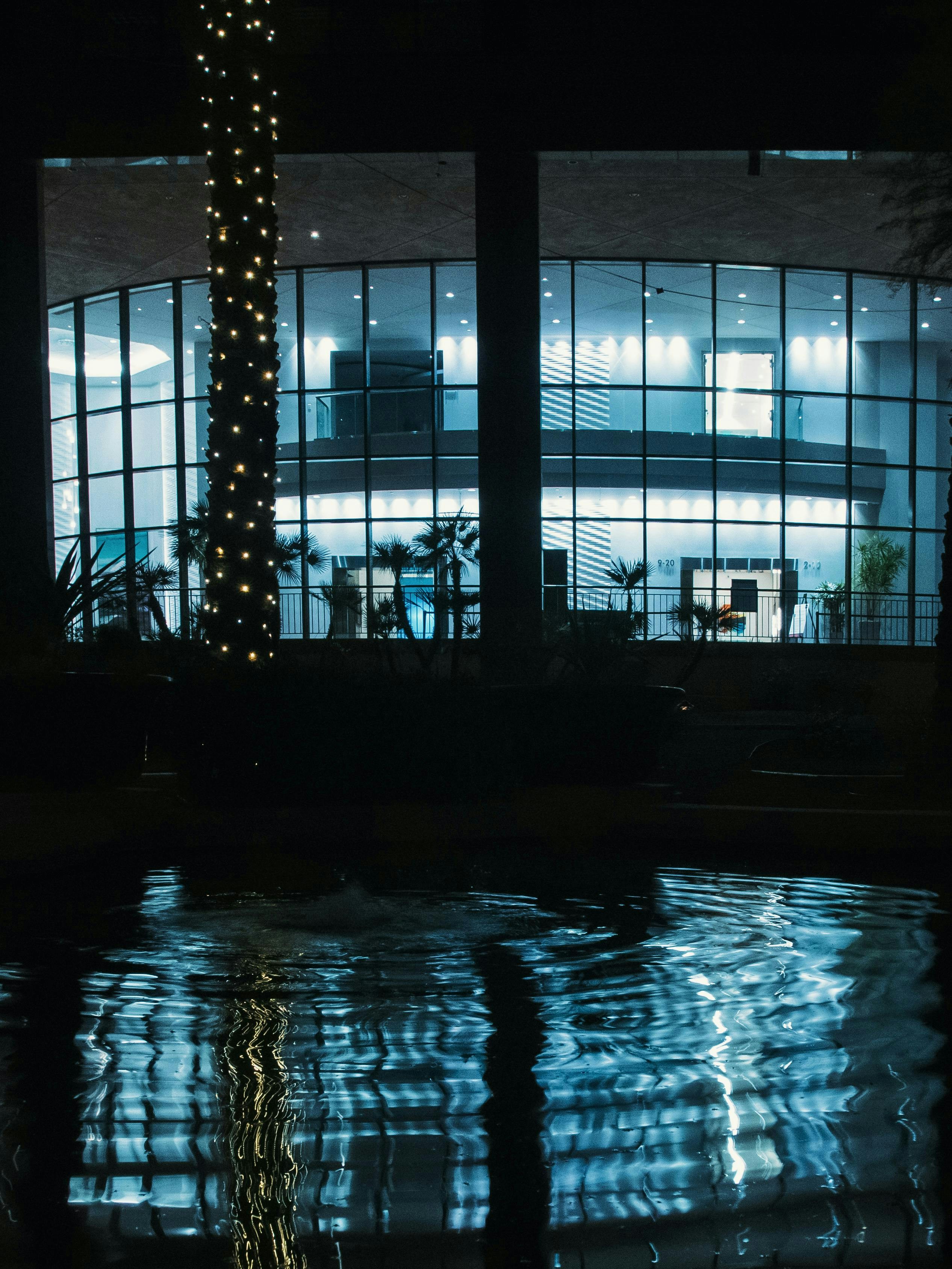 A lighted palm tree in front of a building photo – Free Office Image on ...