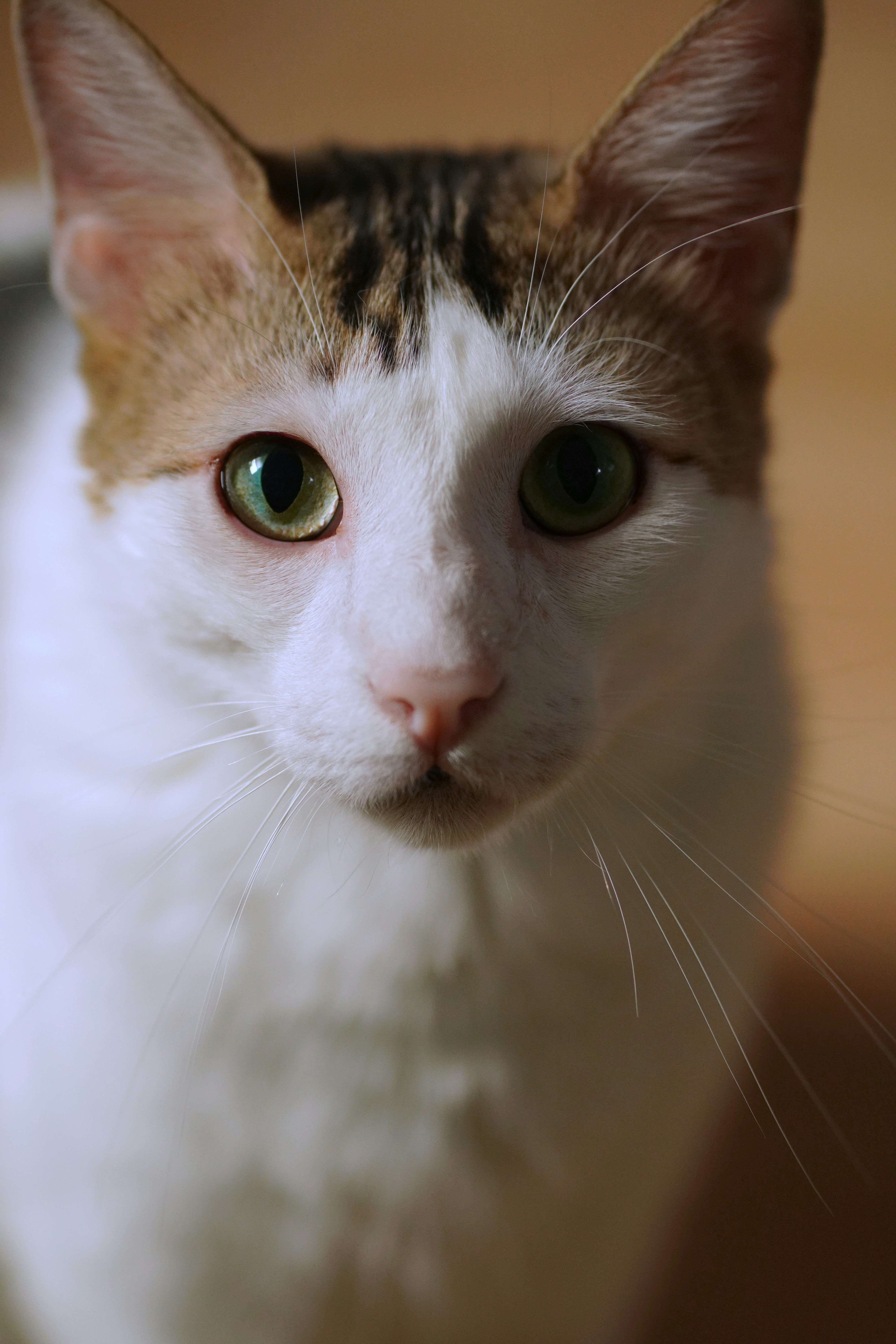 Photo by anairomasanta