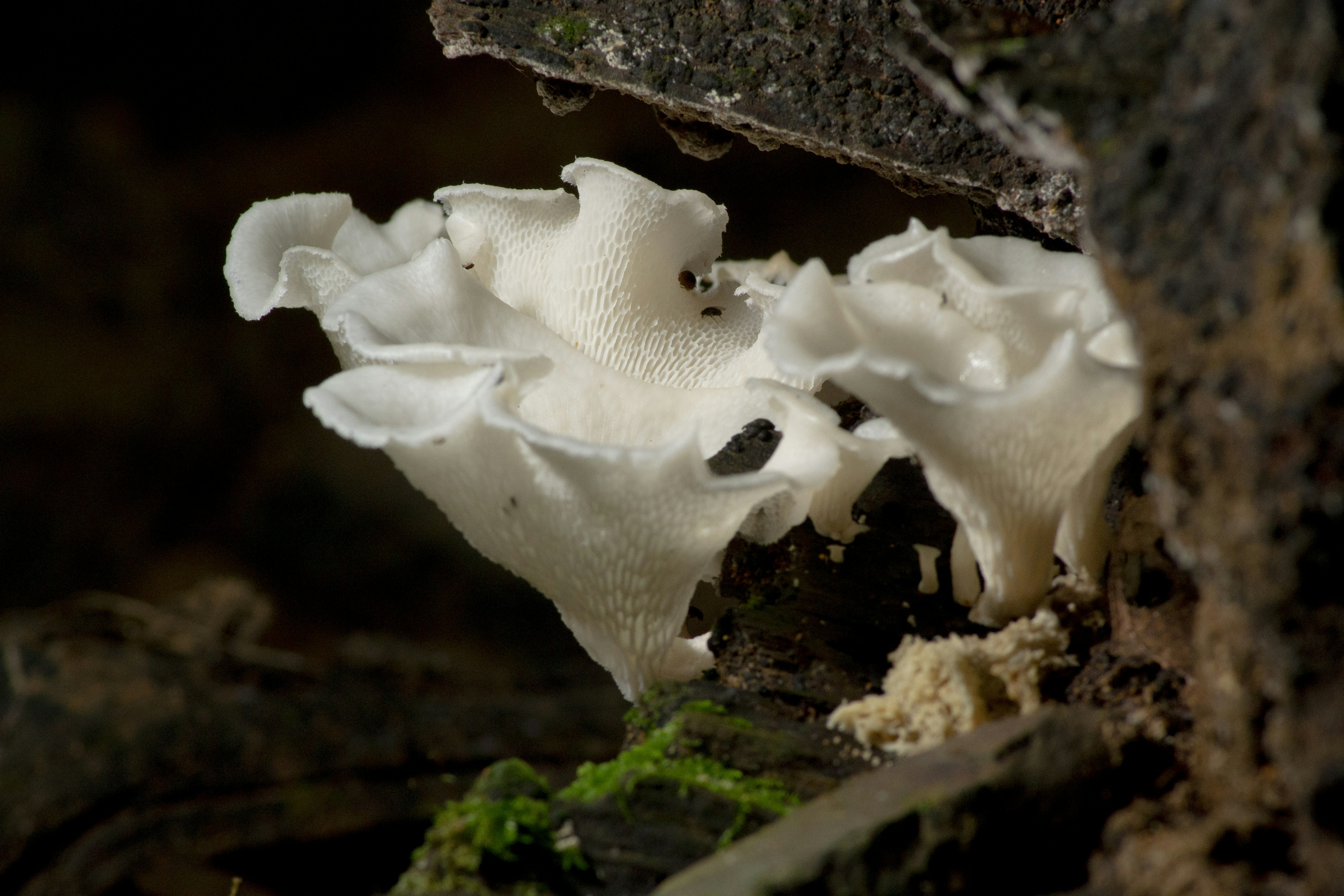 Photo by rebeca_algo