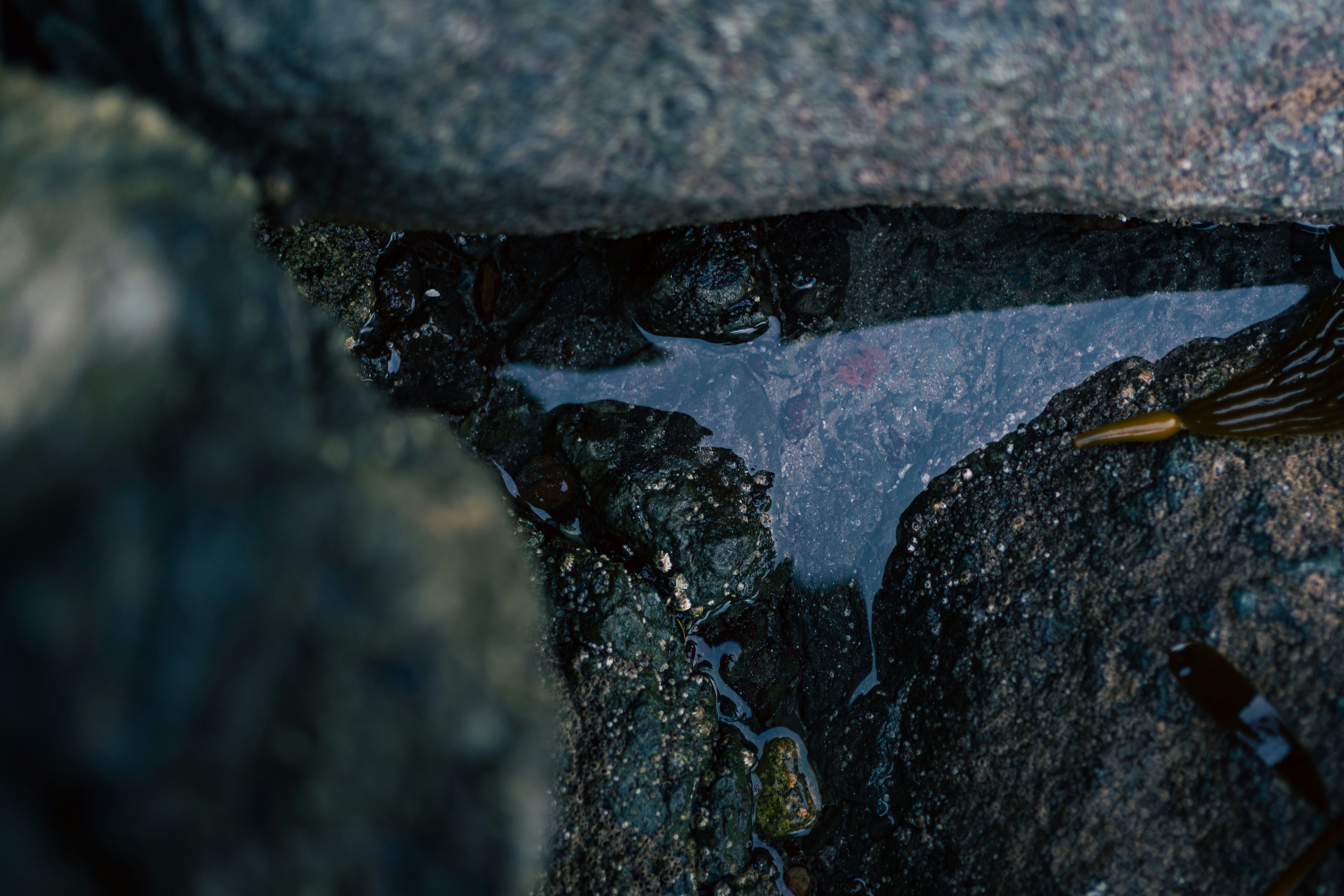 Photo by kalaniparker