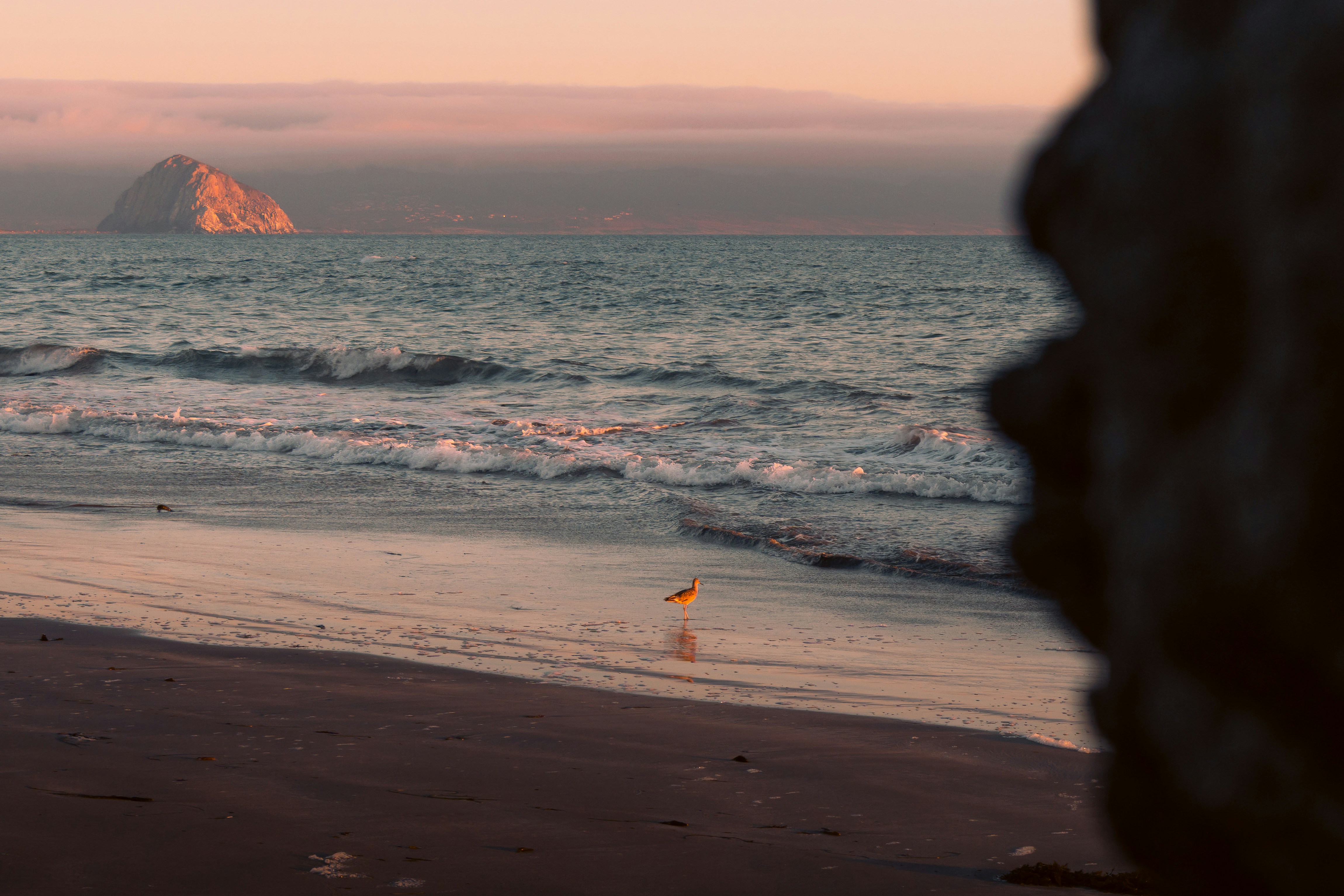 Photo by kalaniparker