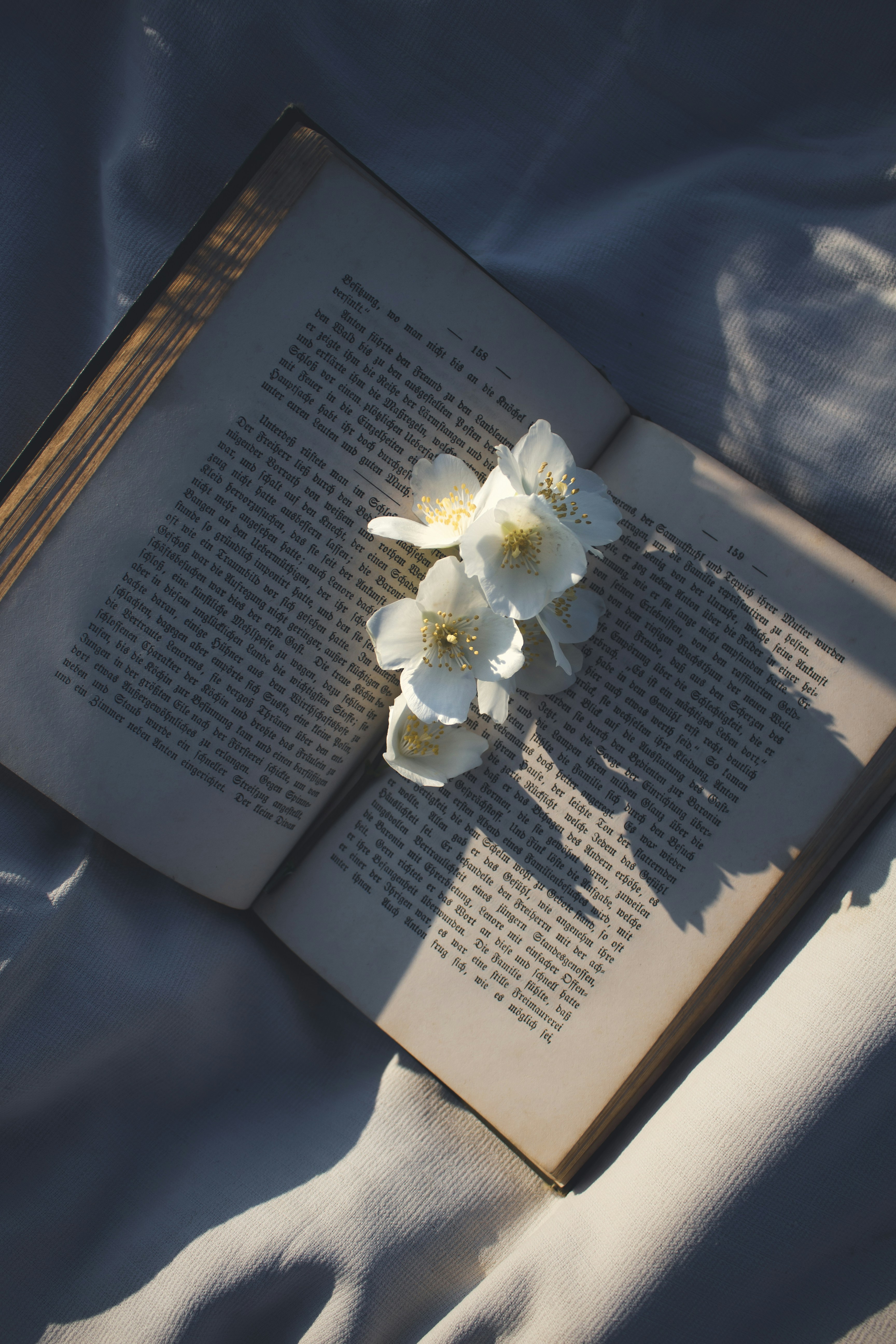 Photo by theprototype