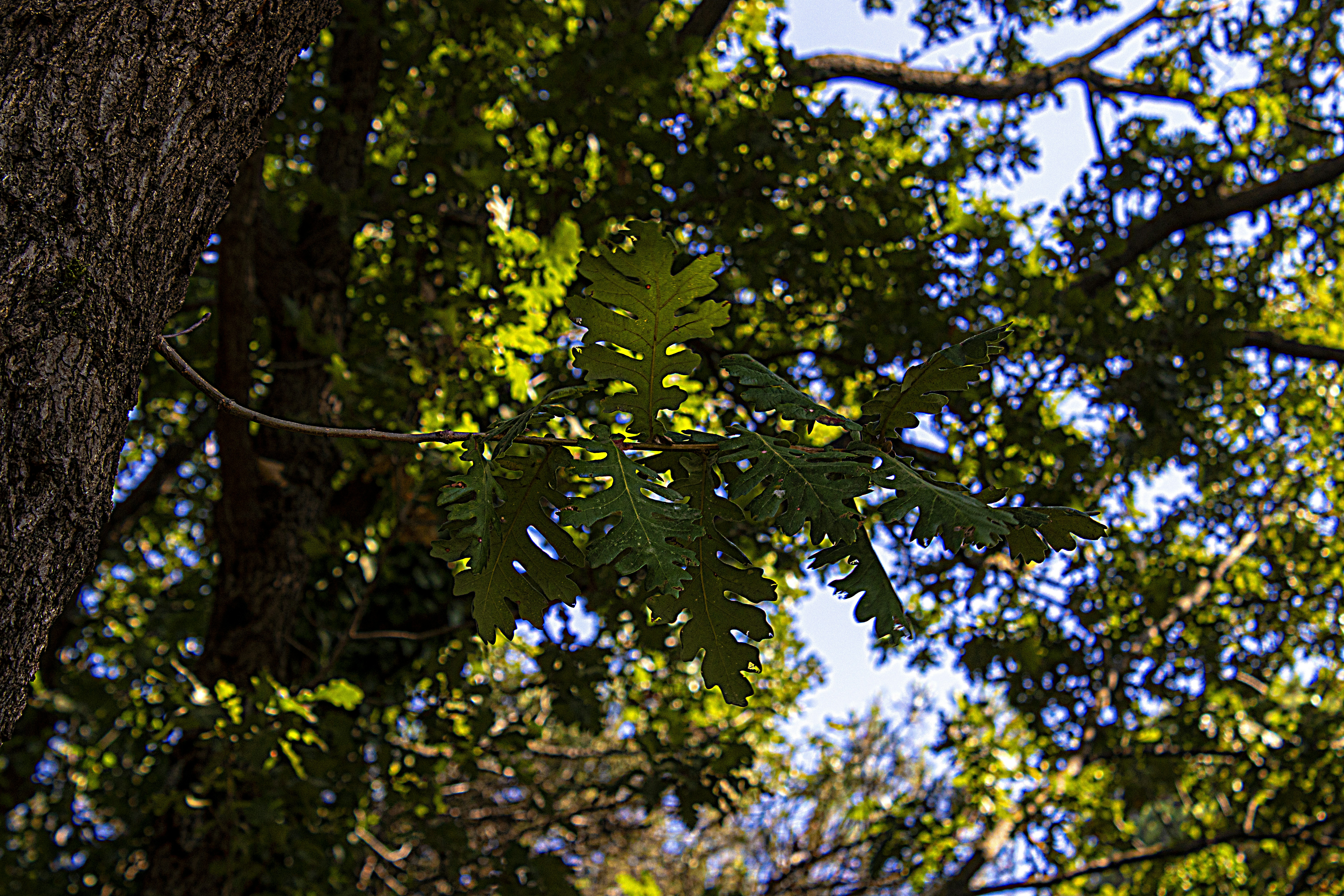 Photo by servetphotograph