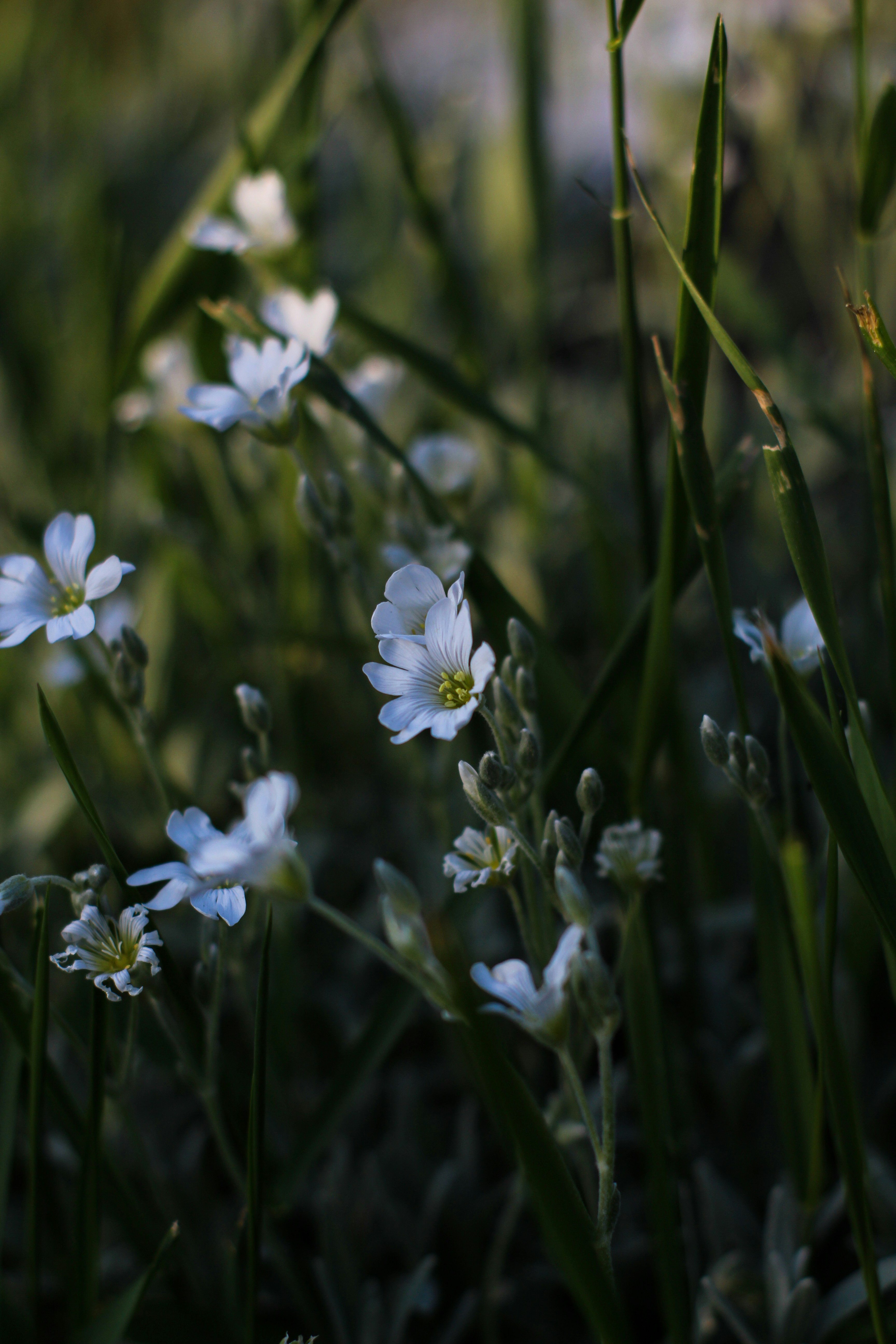 Photo by theprototype