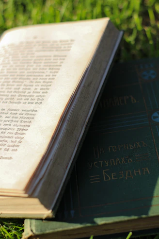 An open book sitting on top of a lush green field
