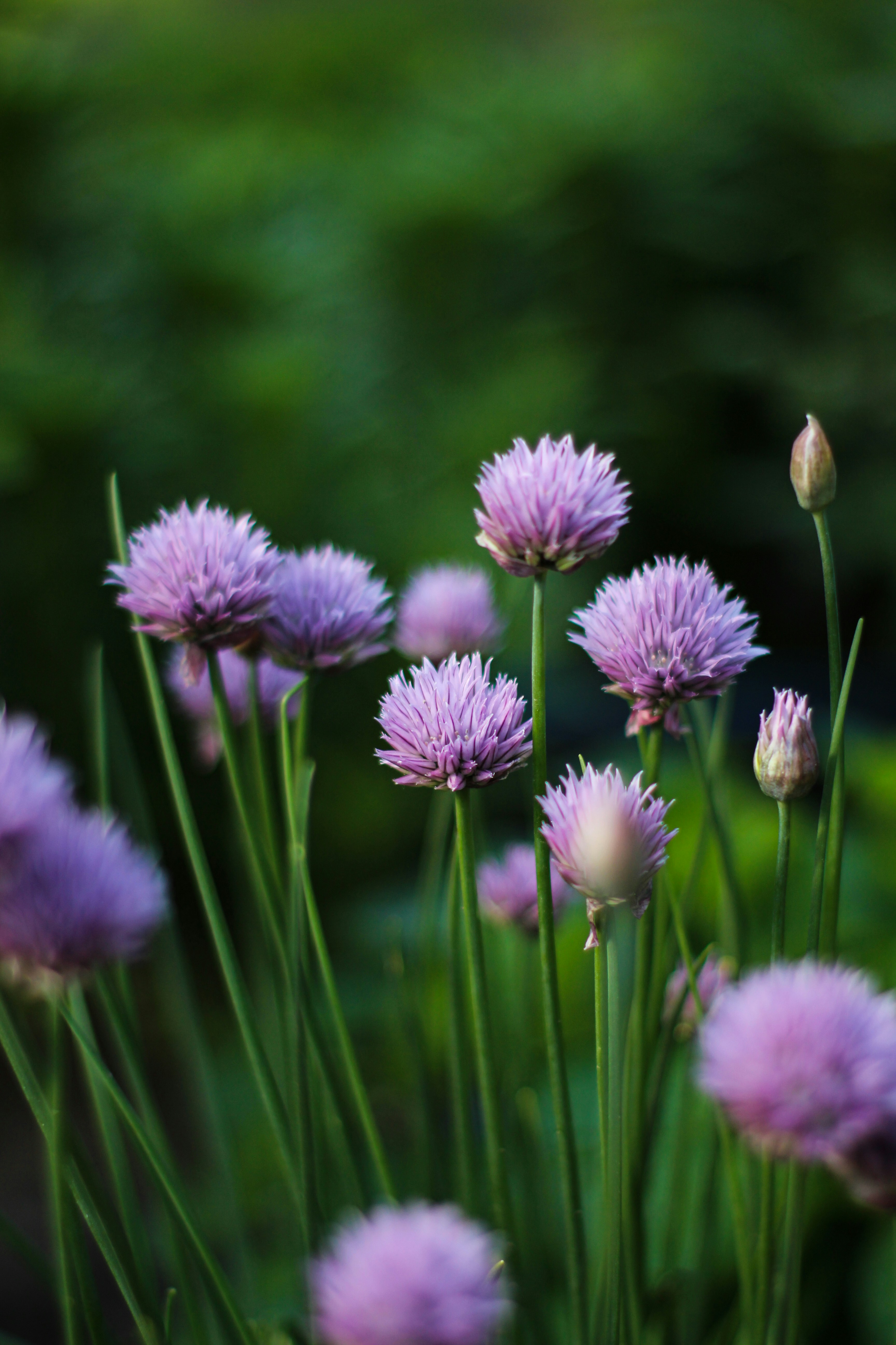 Photo by theprototype