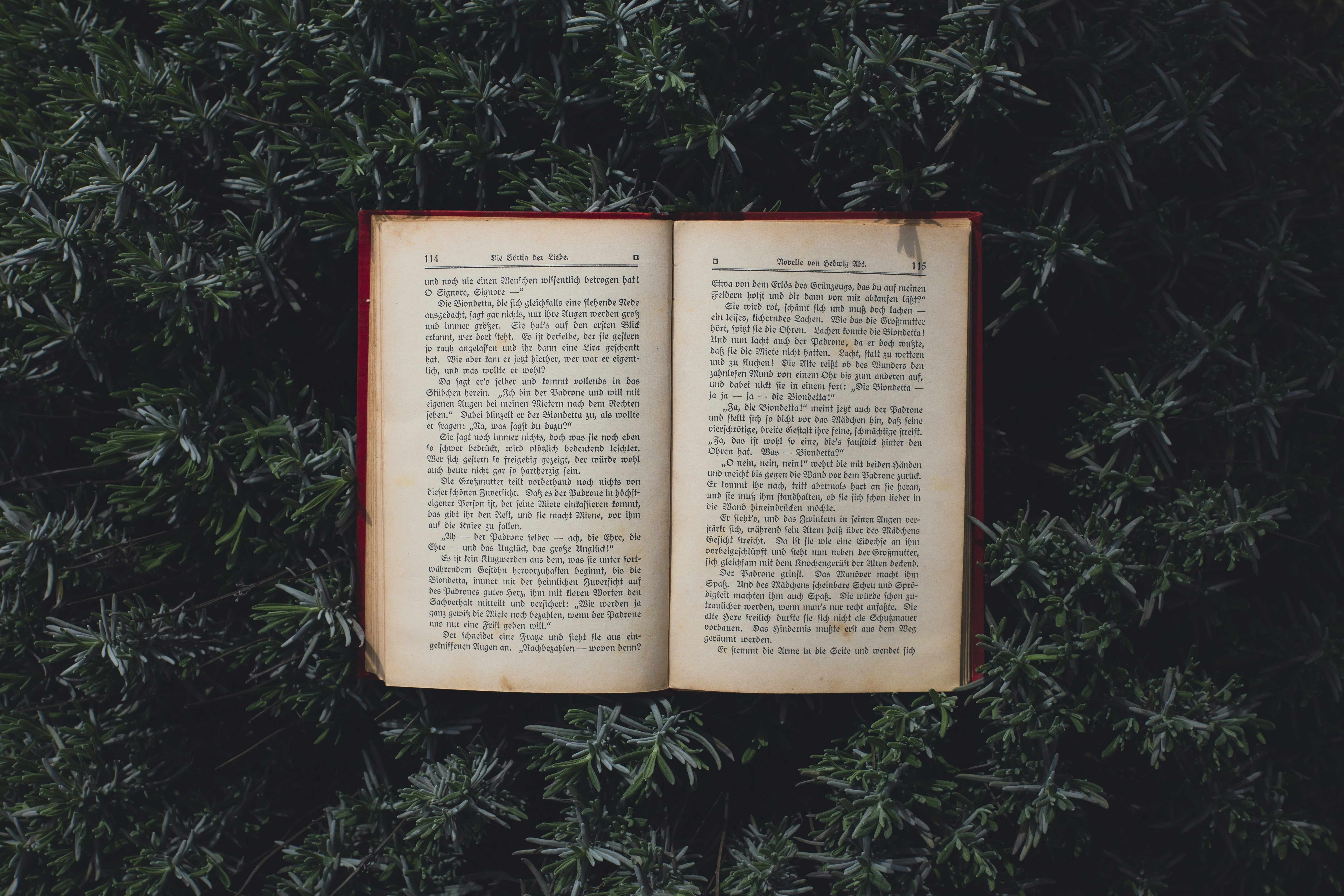 Photo by theprototype