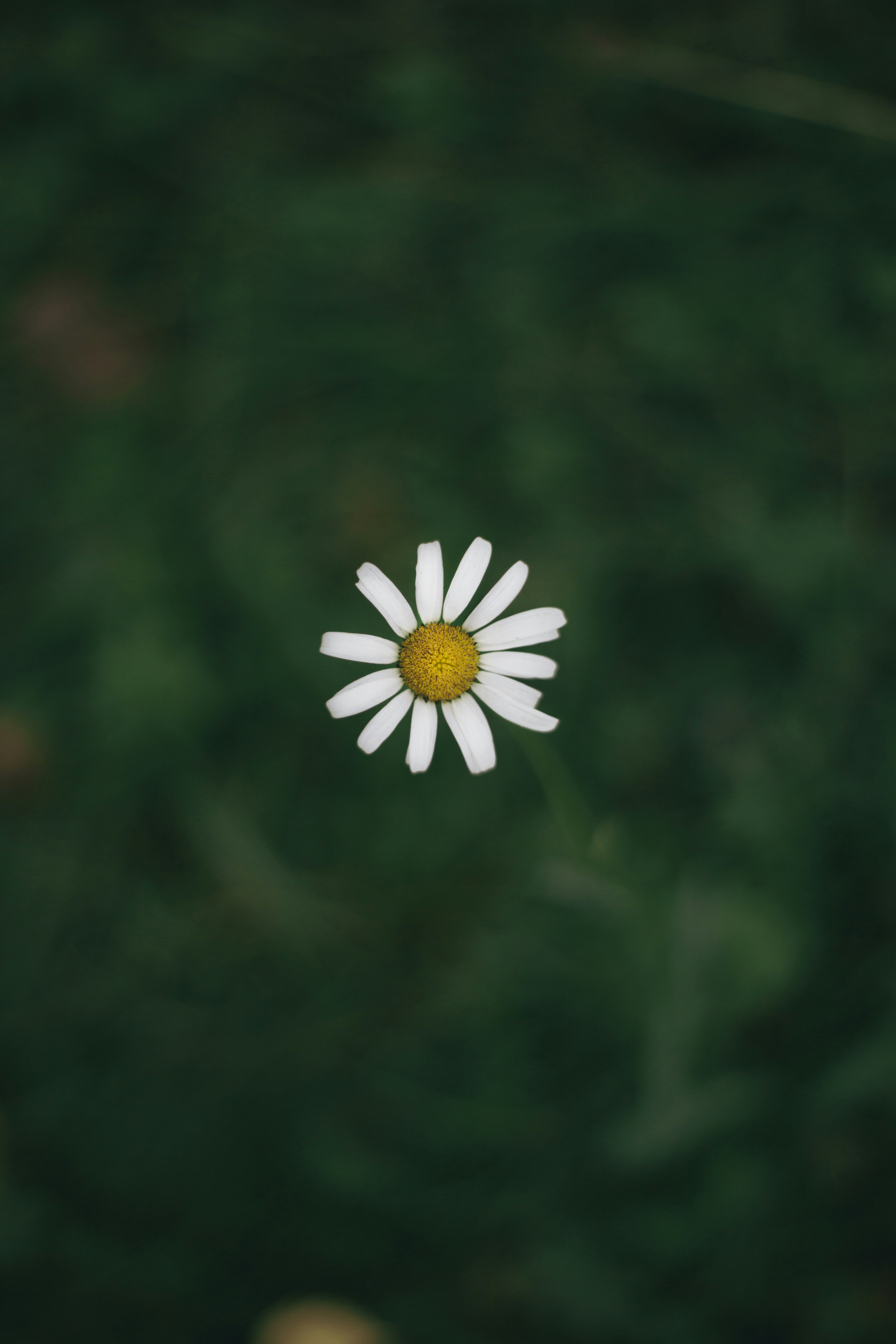 Photo by theprototype