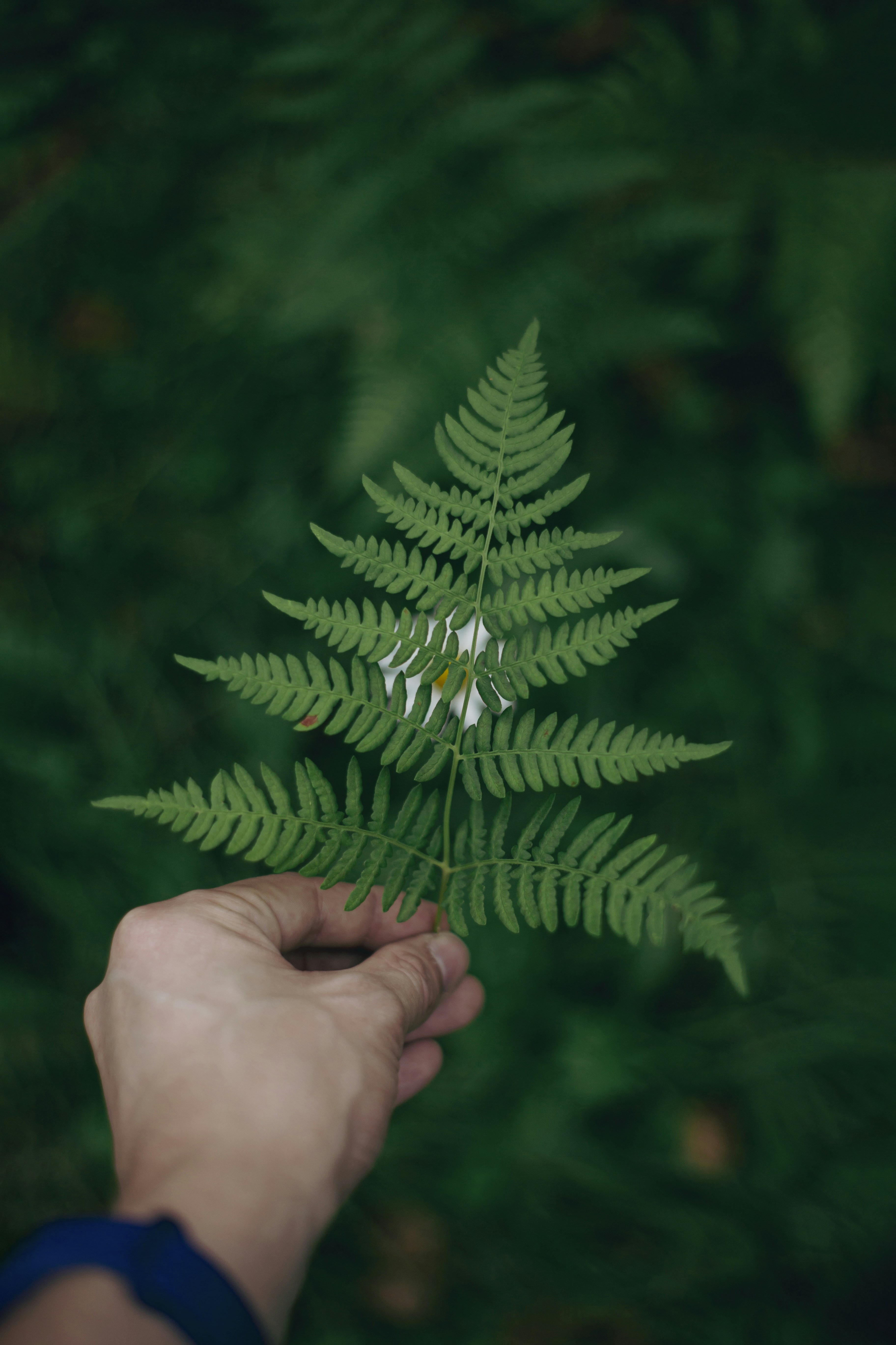 Photo by theprototype