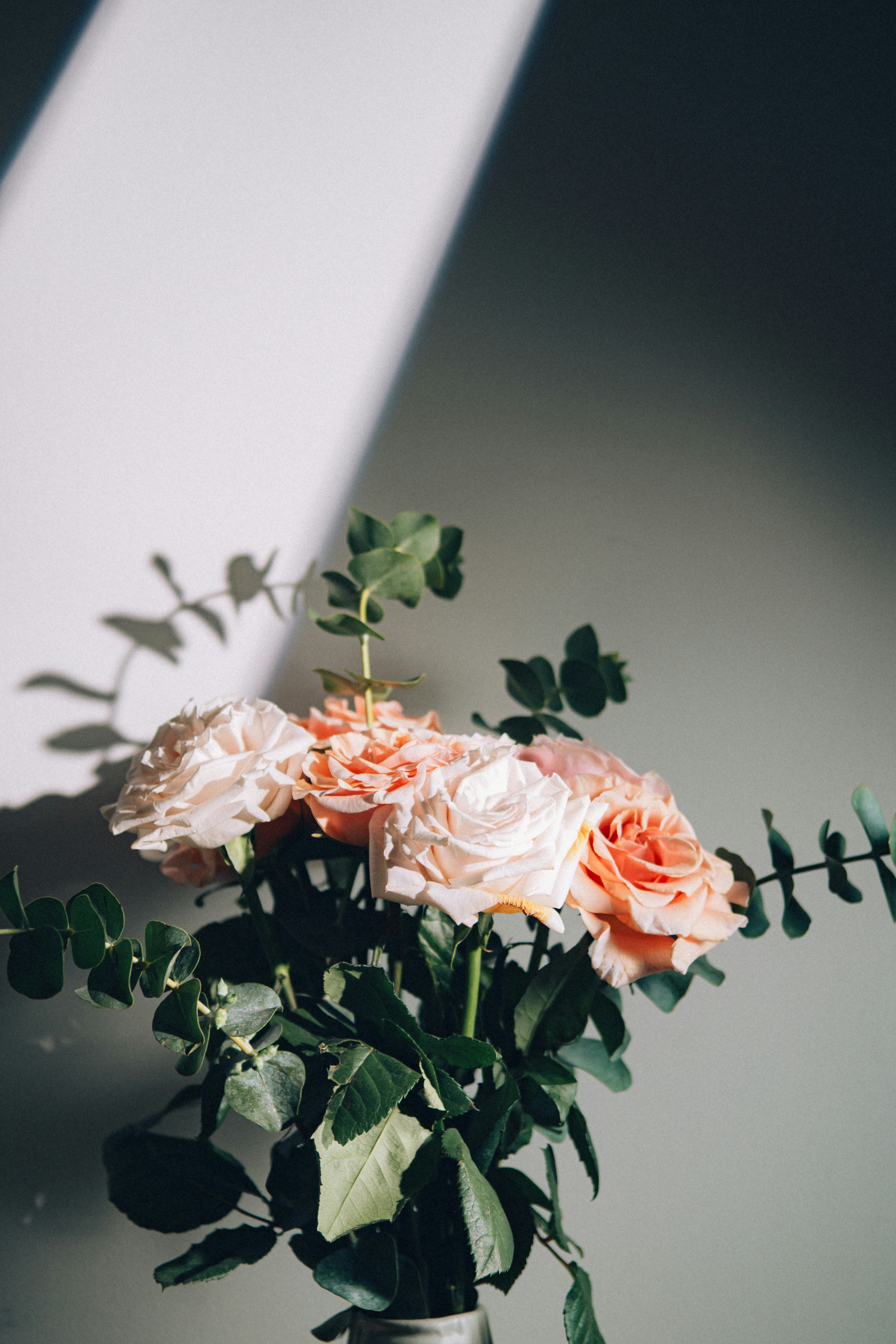 Photo by marsupialpudding