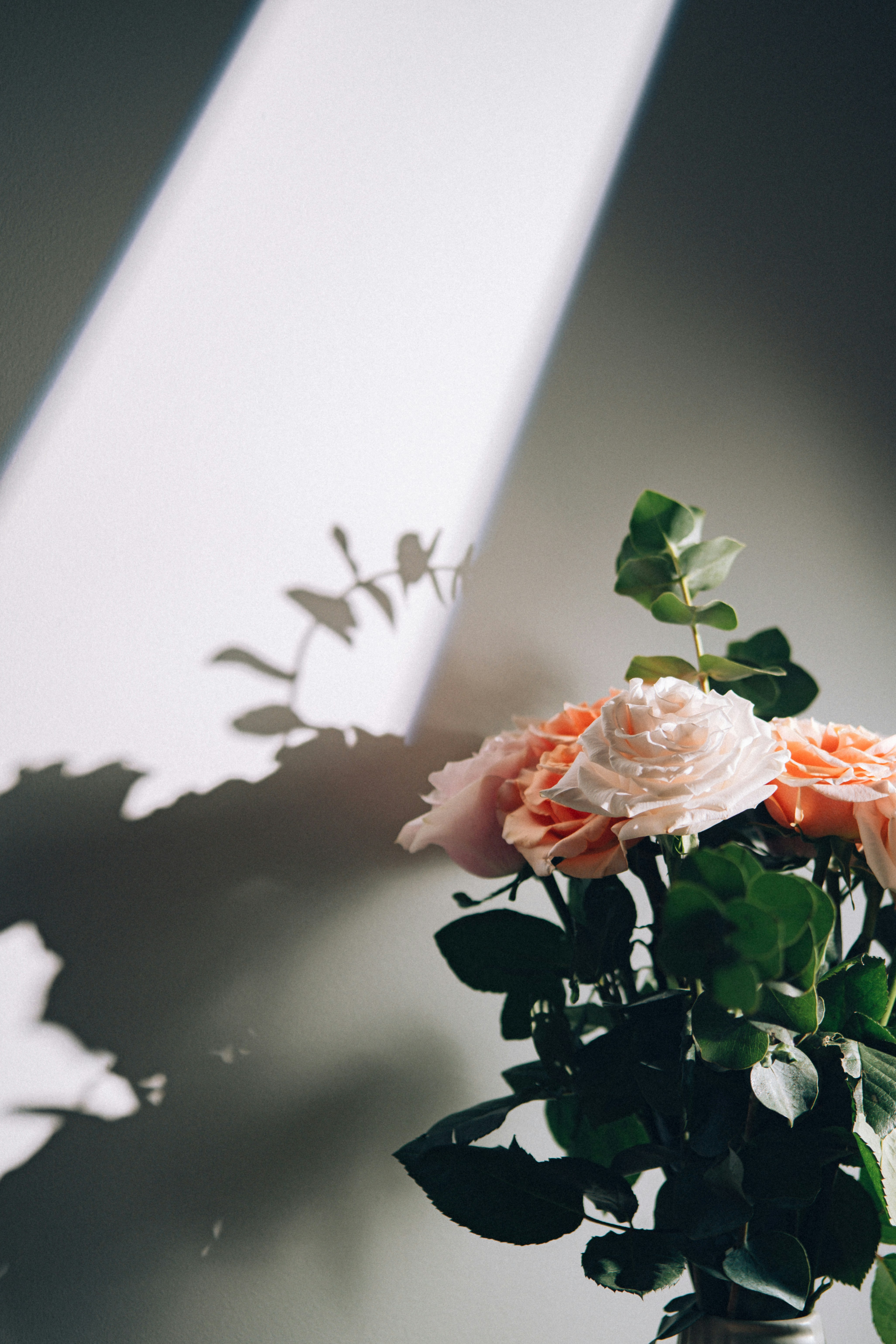 Photo by marsupialpudding