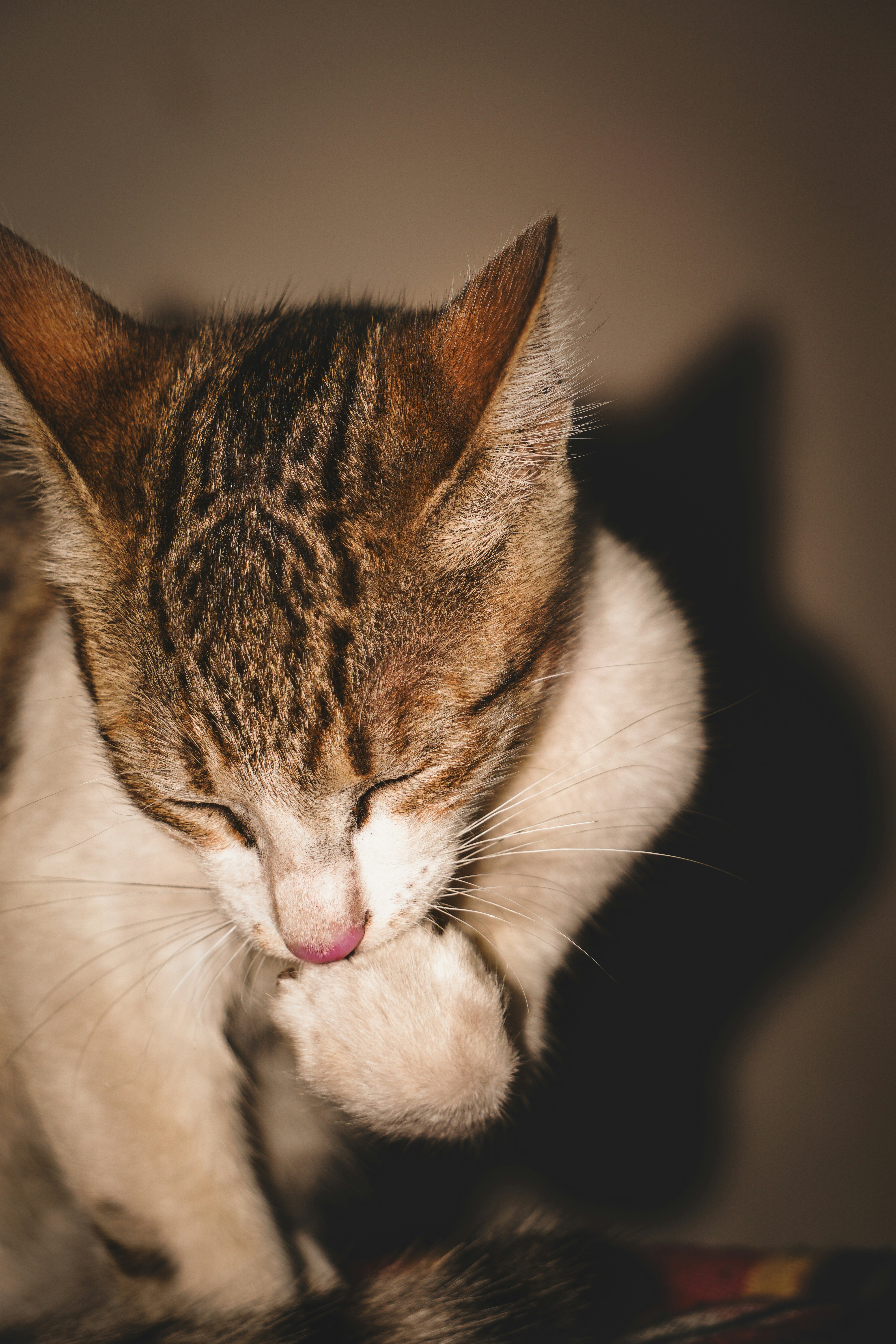 Photo by naam_ka_photographer