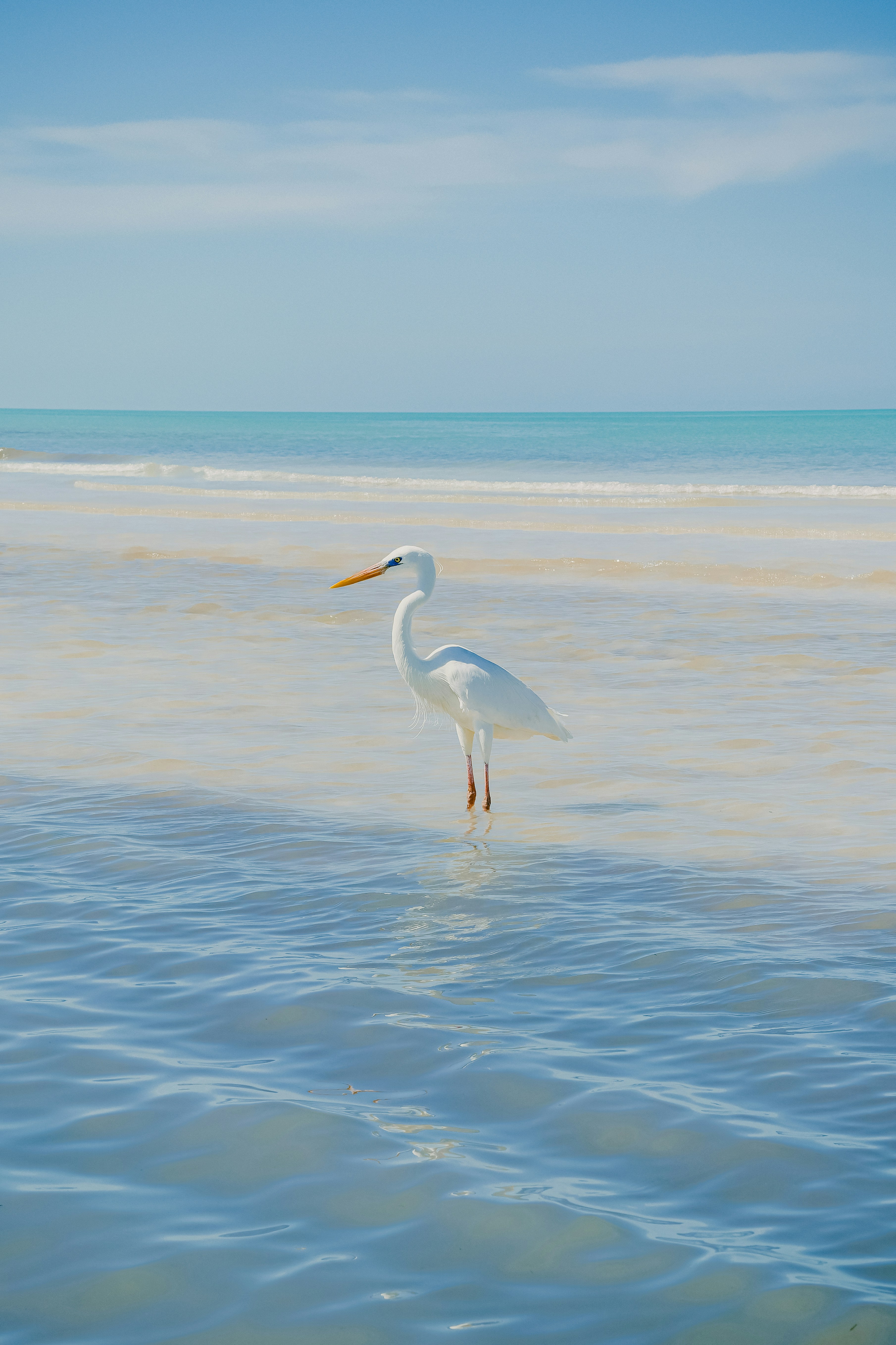 Photo by oscar_paramo